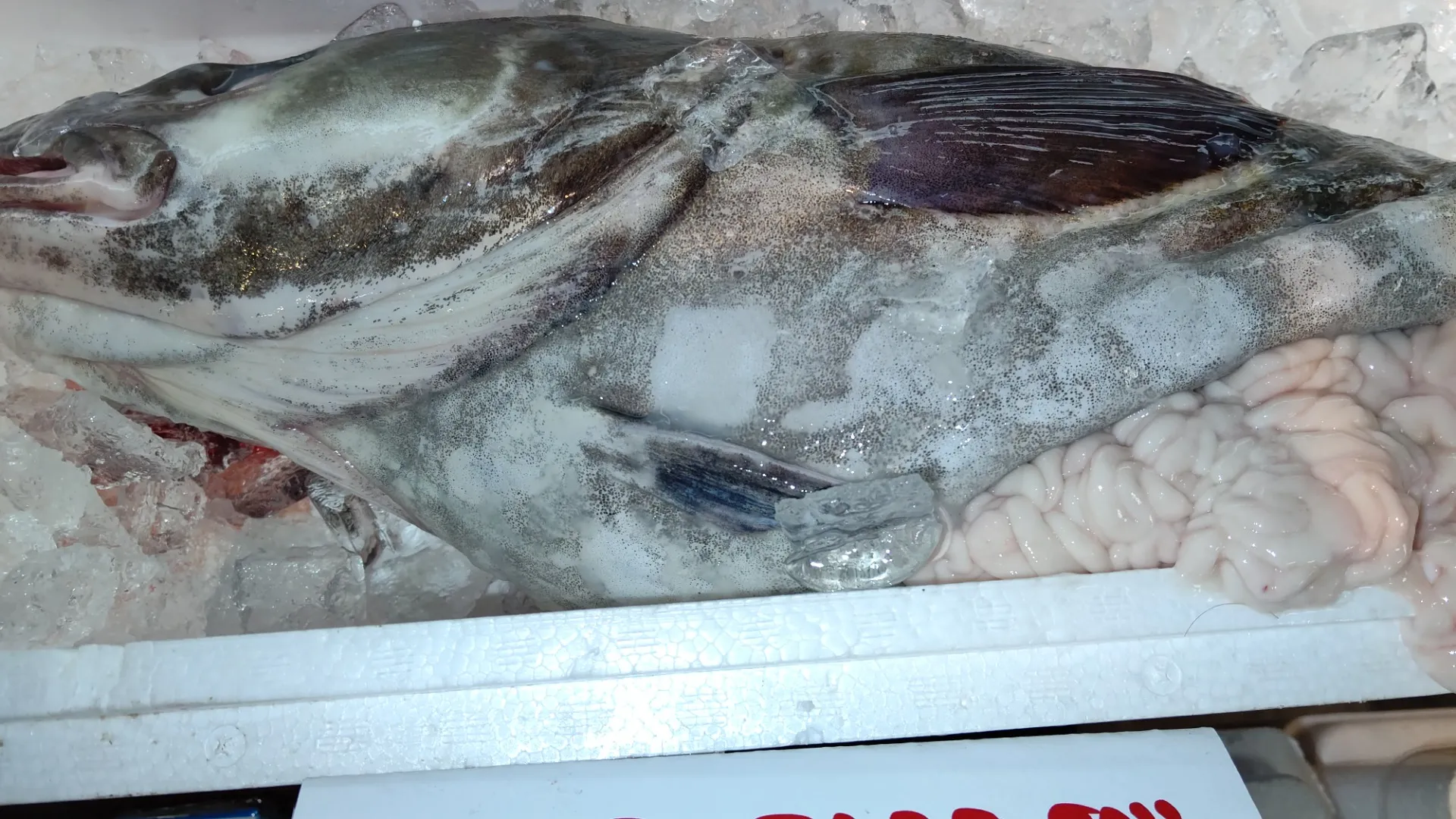 サカナヤサカモト花園店