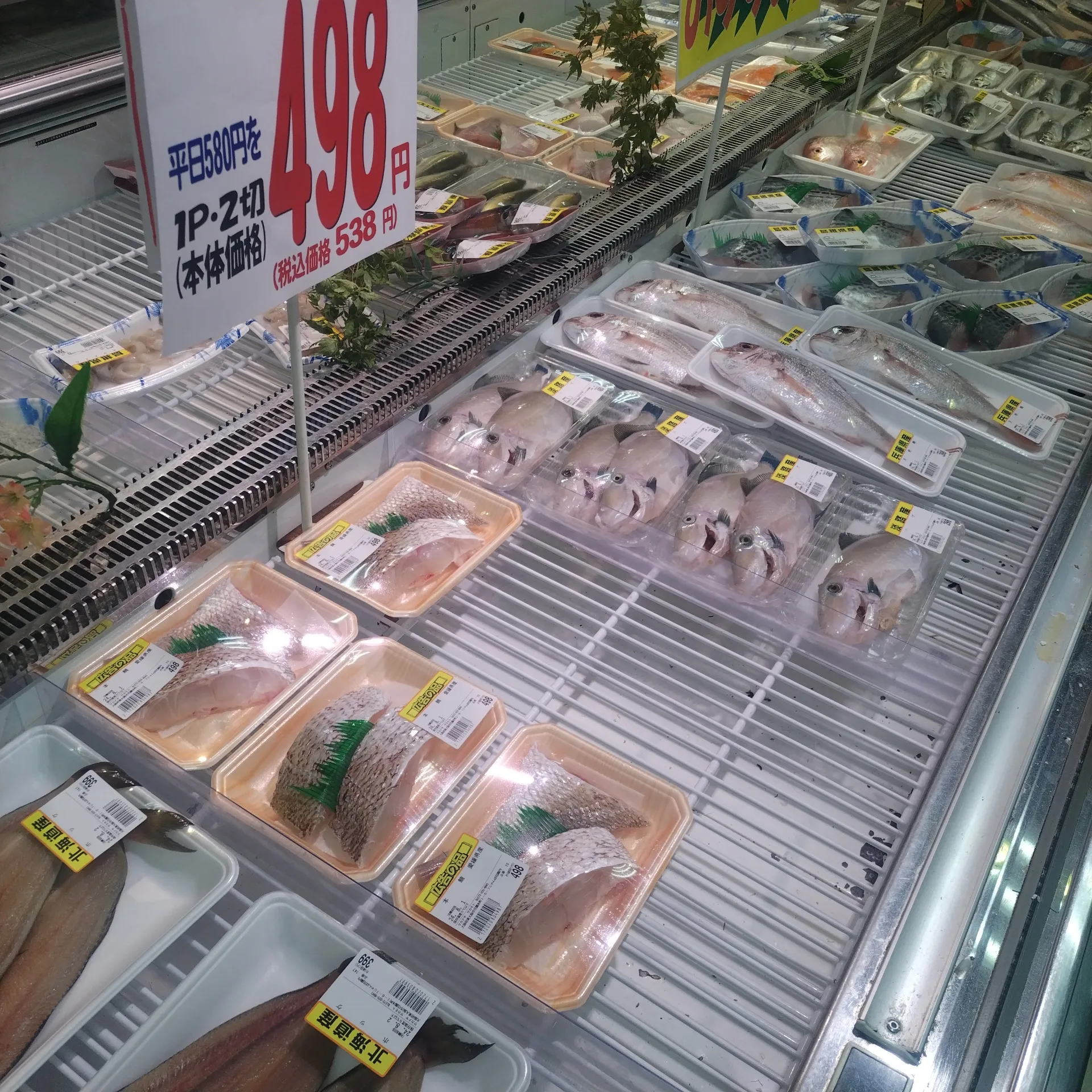 サカナヤサカモト花園店