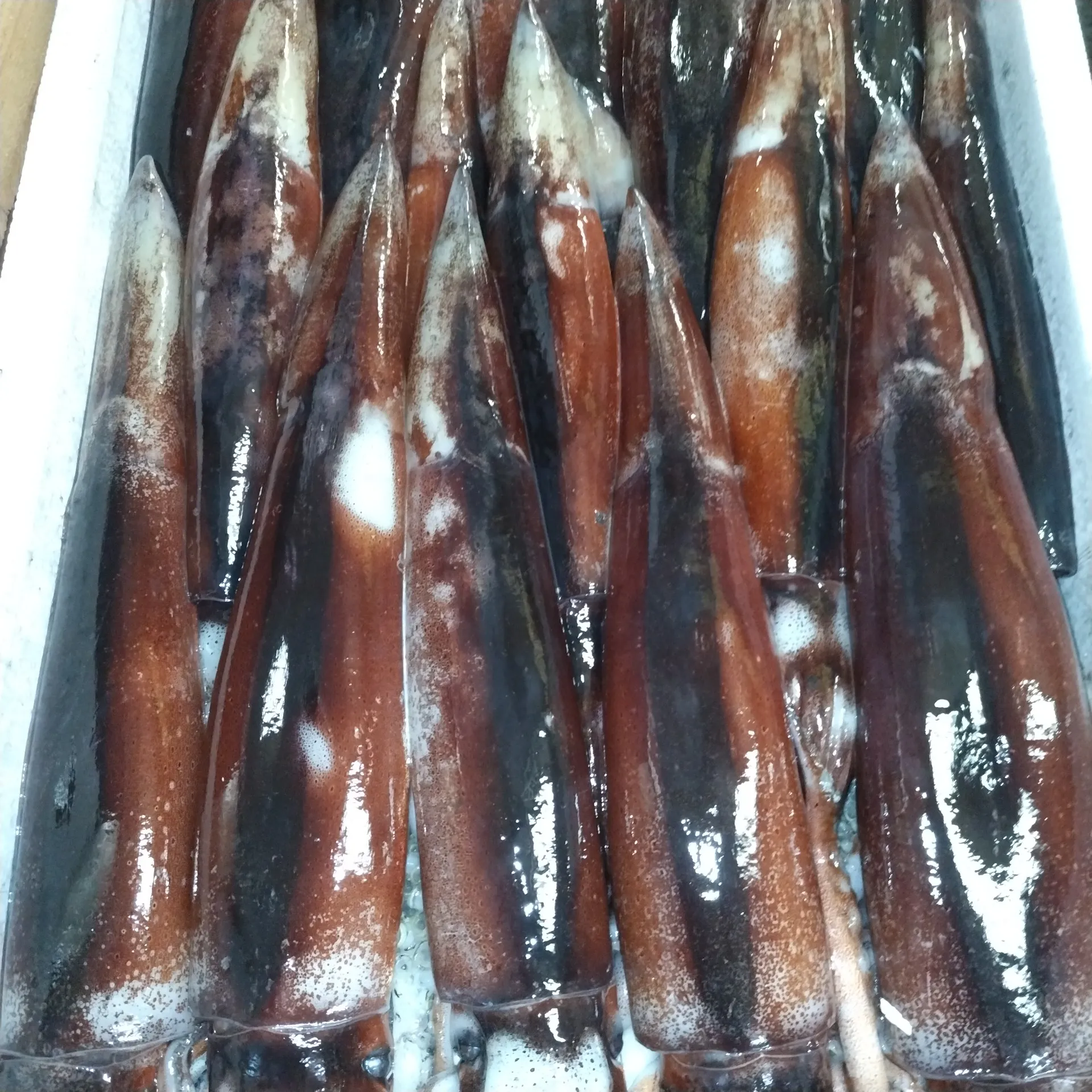 八尾　一心太助