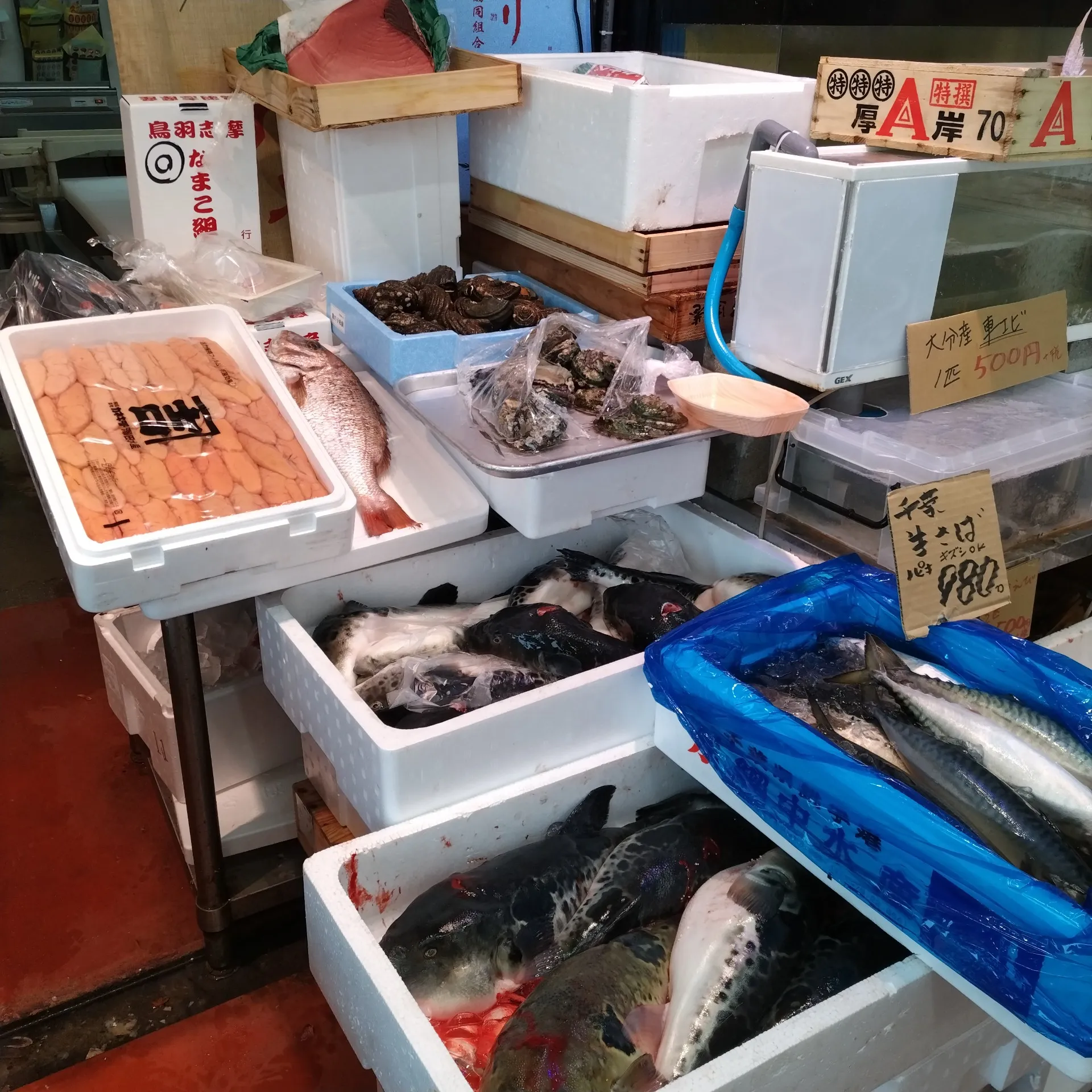 八尾　一心太助