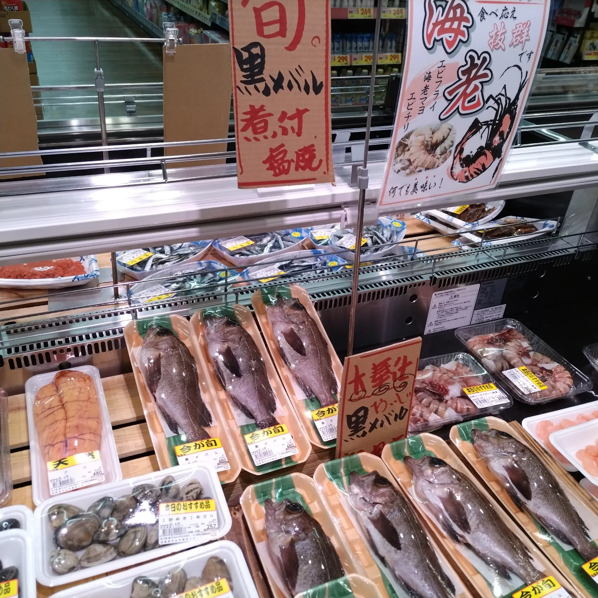 サカナヤサカモト守山店