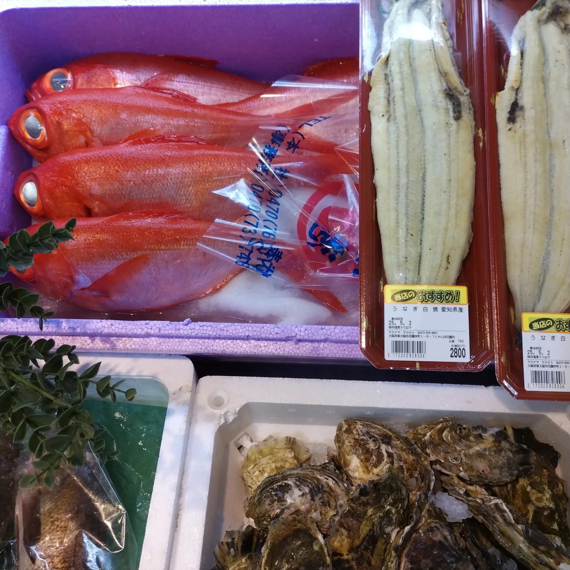 サカナヤサカモト花園店