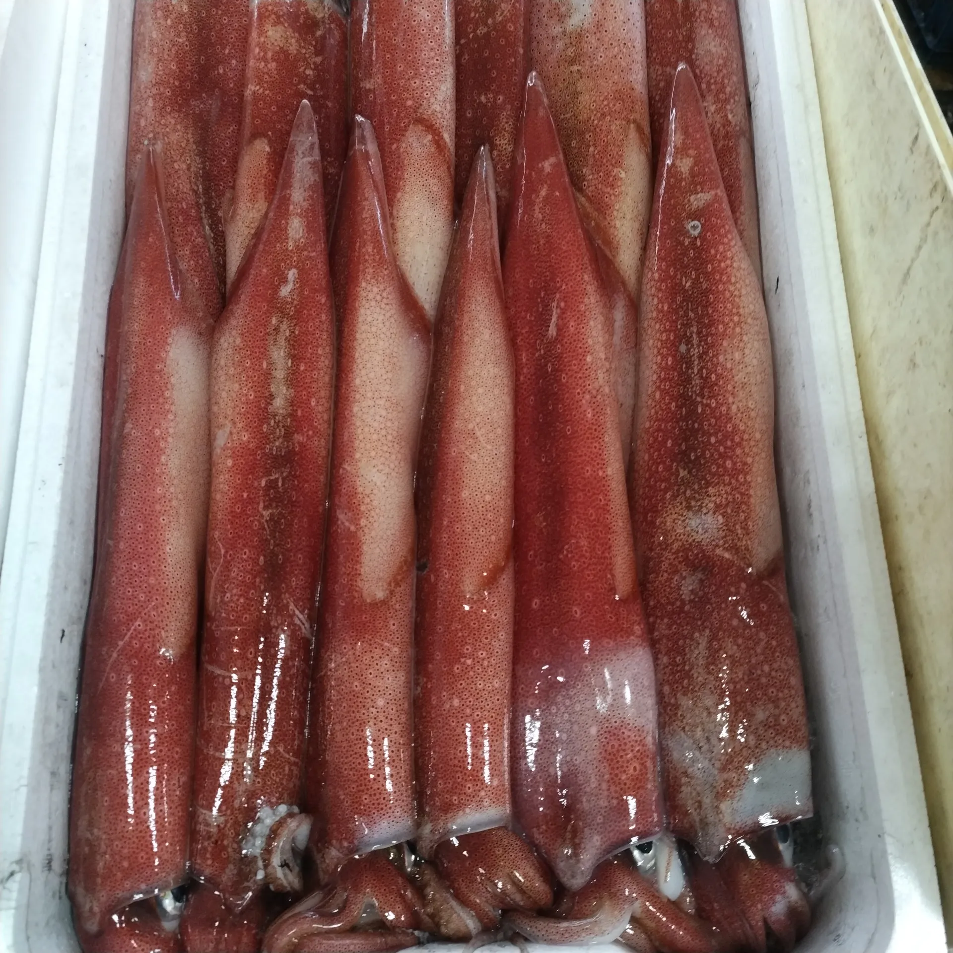 サカナヤサカモト花園店