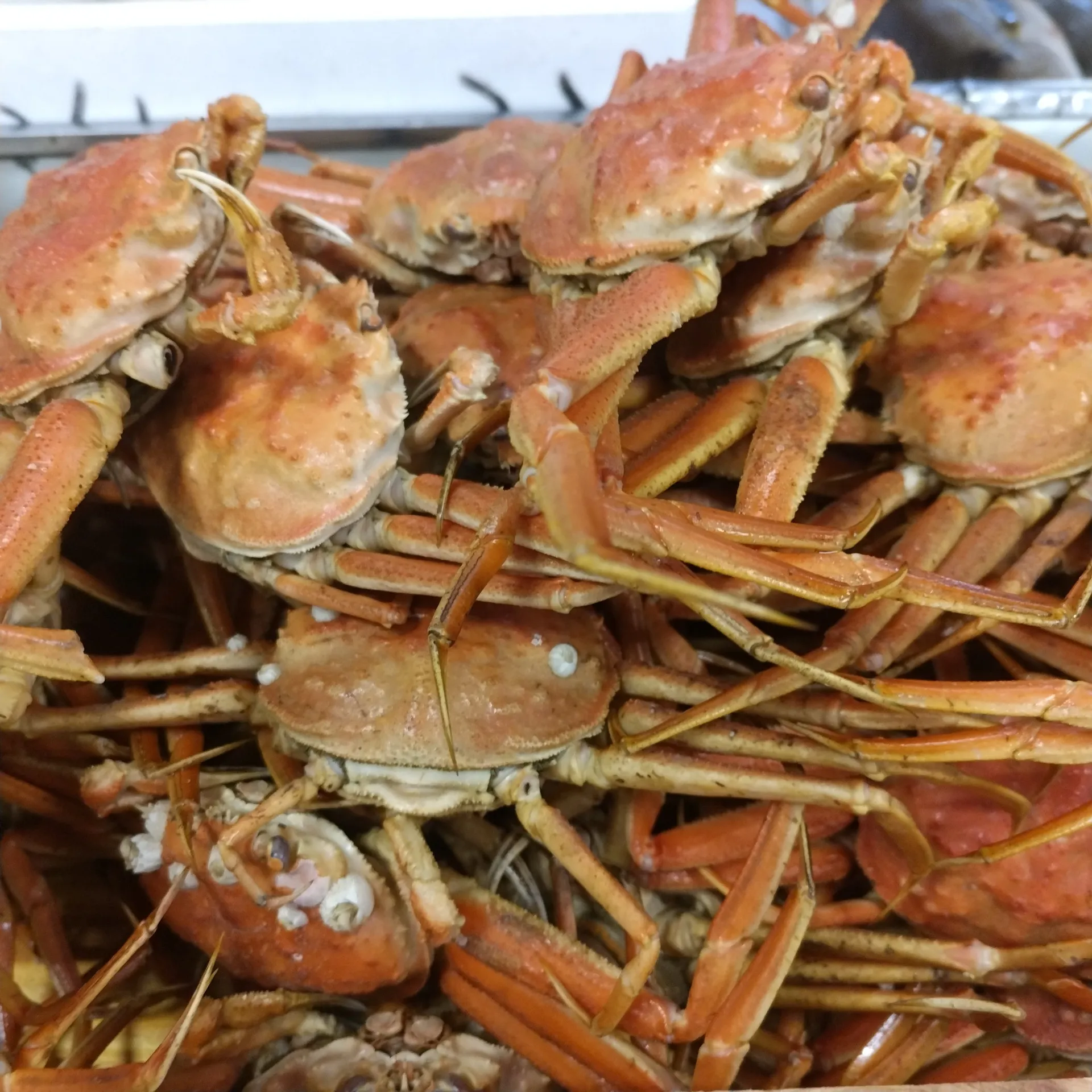 サカナヤサカモト花園店