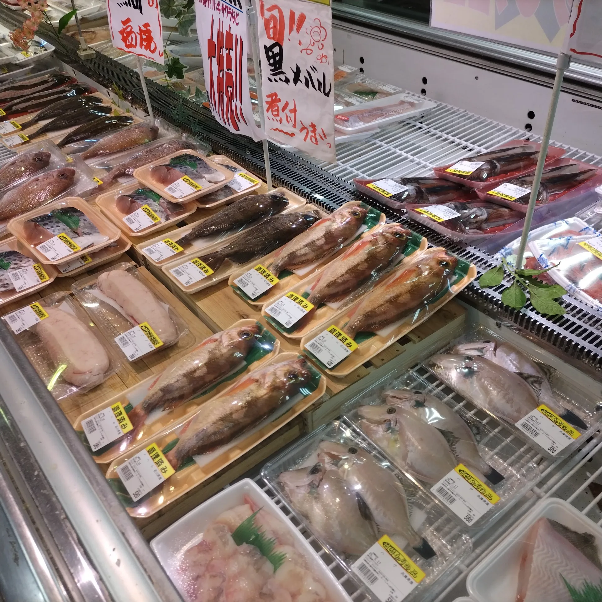 サカナヤサカモト花園店