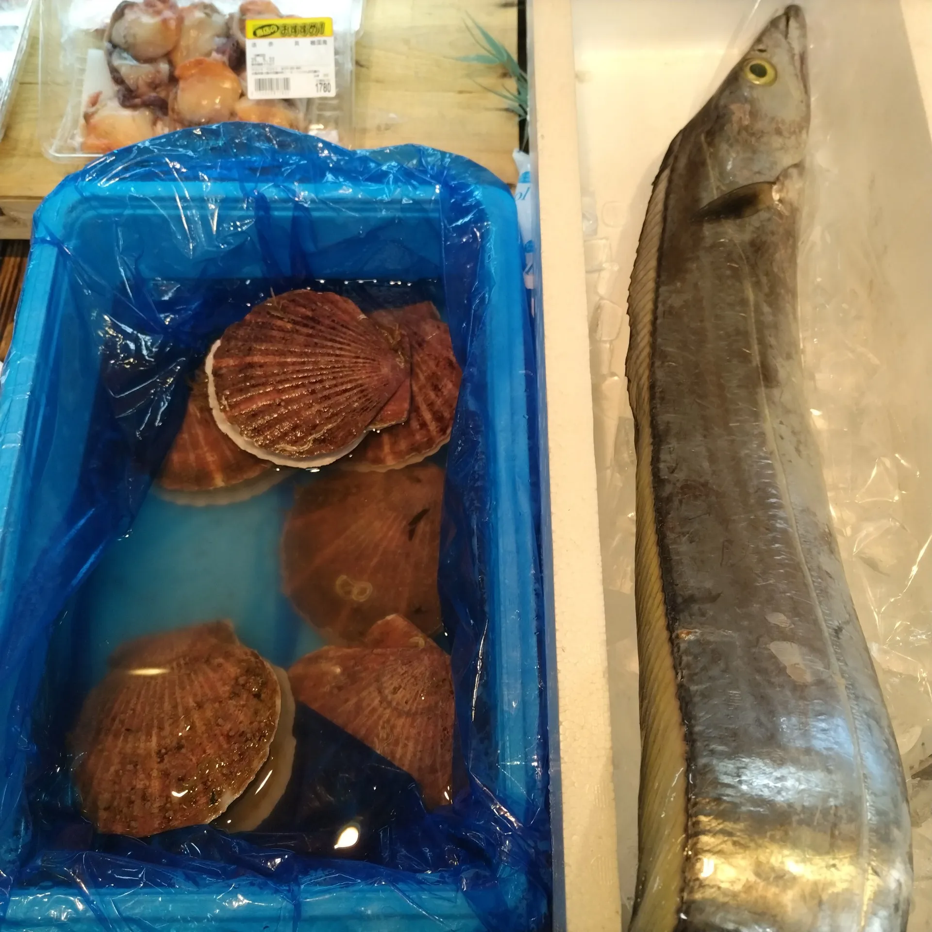 サカナヤサカモト花園店