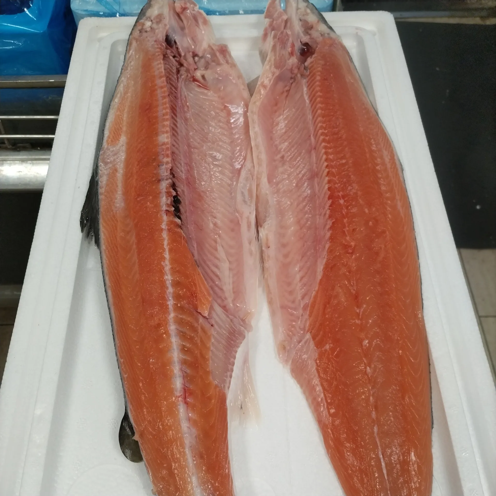 サカナヤサカモト花園店