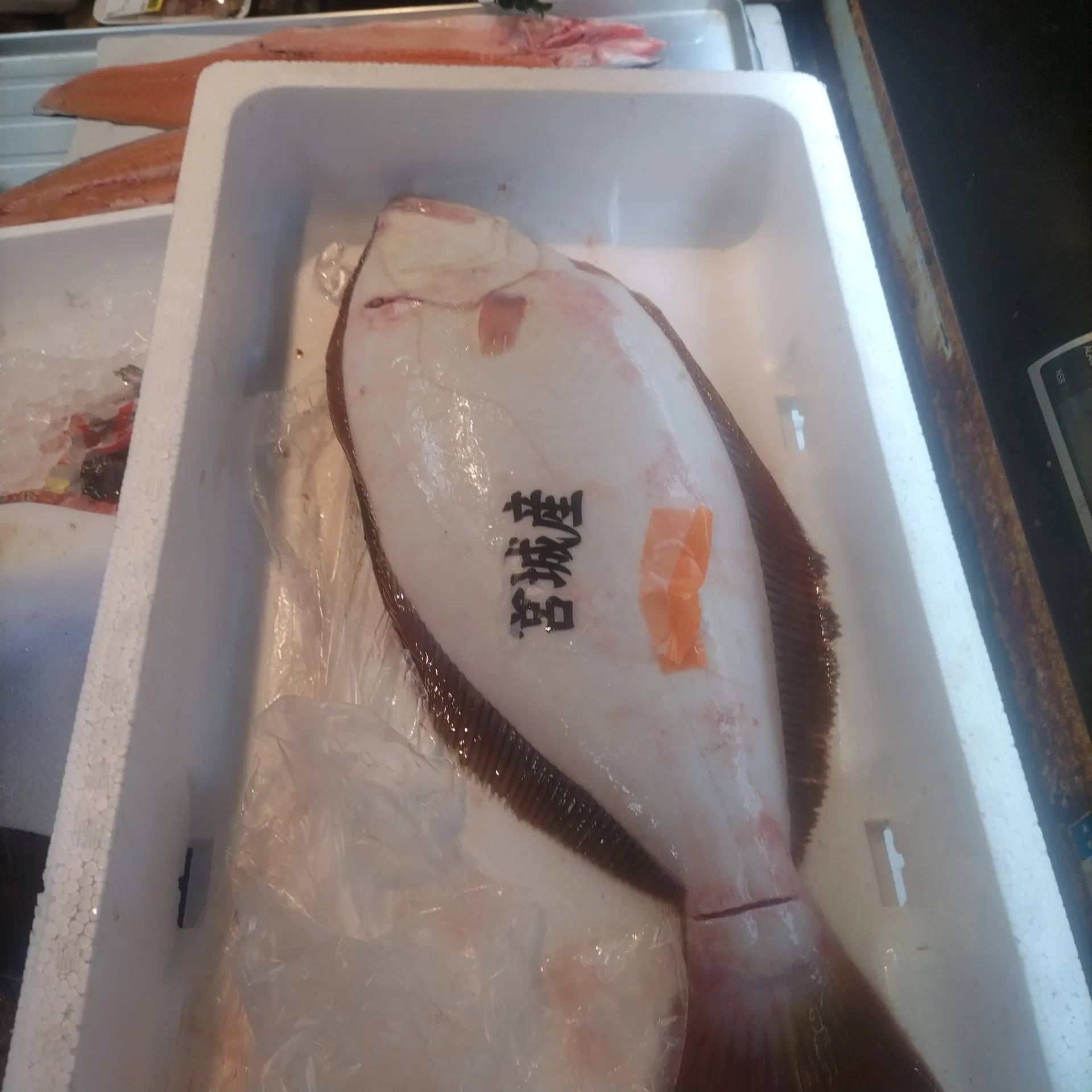 サカナヤサカモト花園店