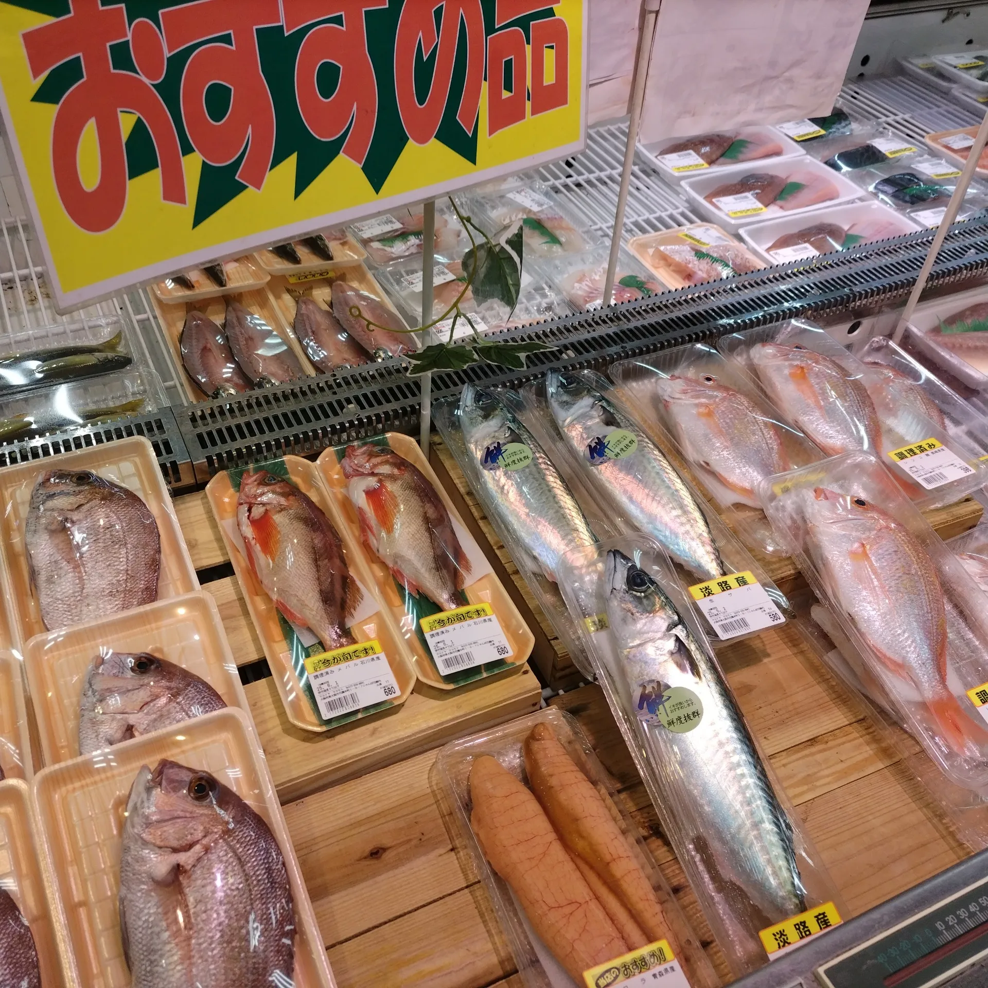 サカナヤサカモト花園店