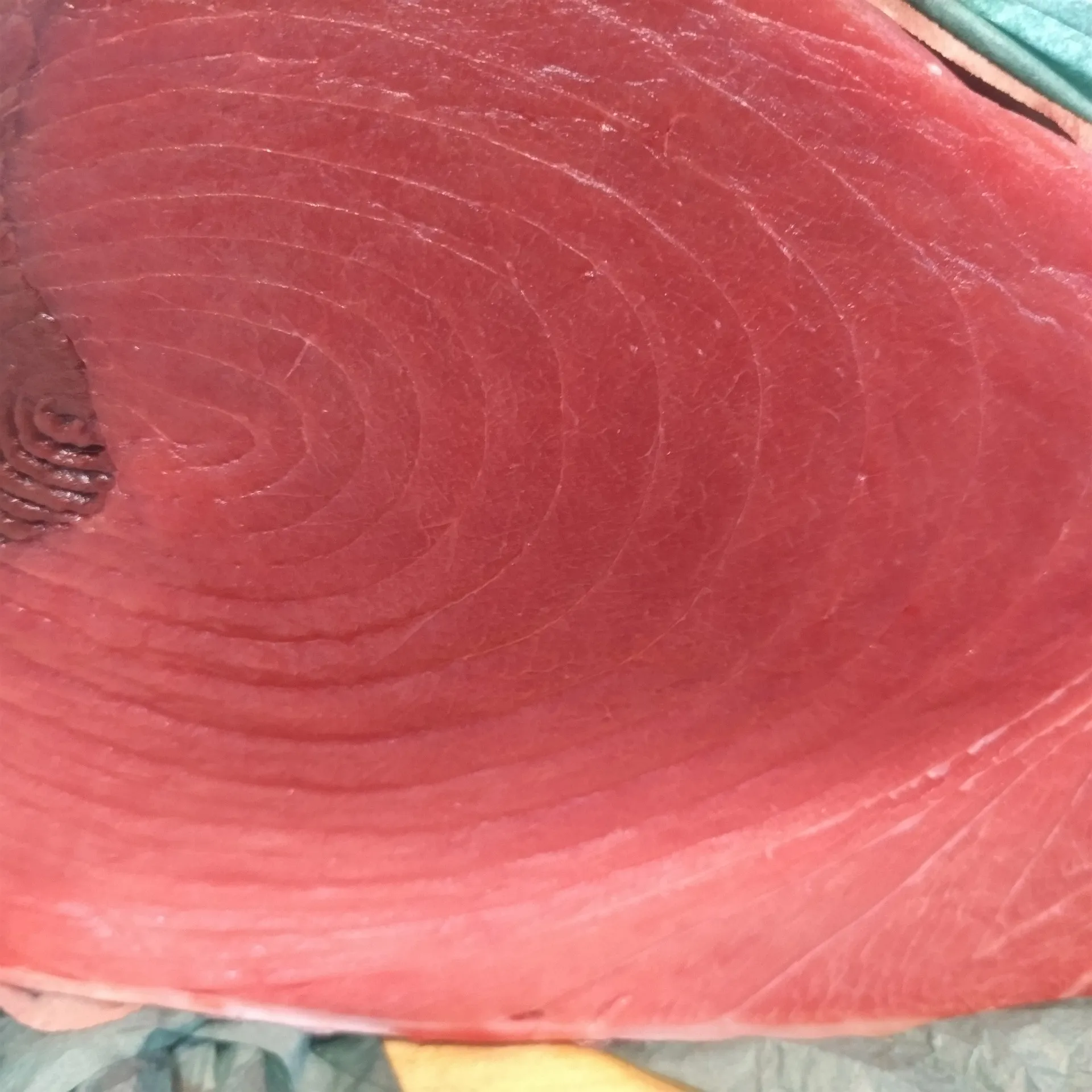 サカナヤサカモト花園店