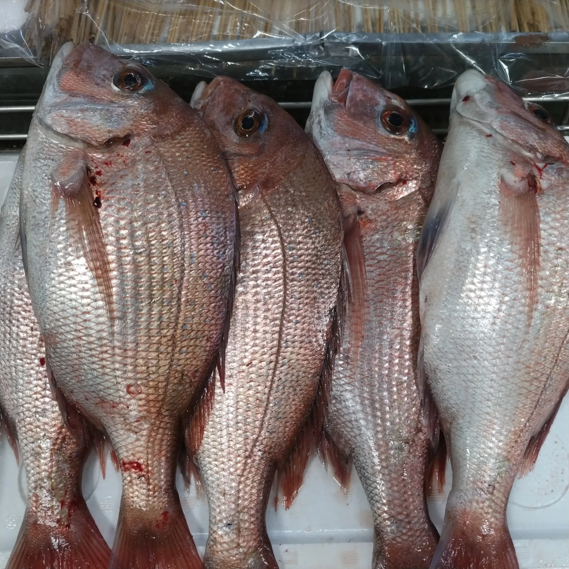 サカナヤサカモト花園店