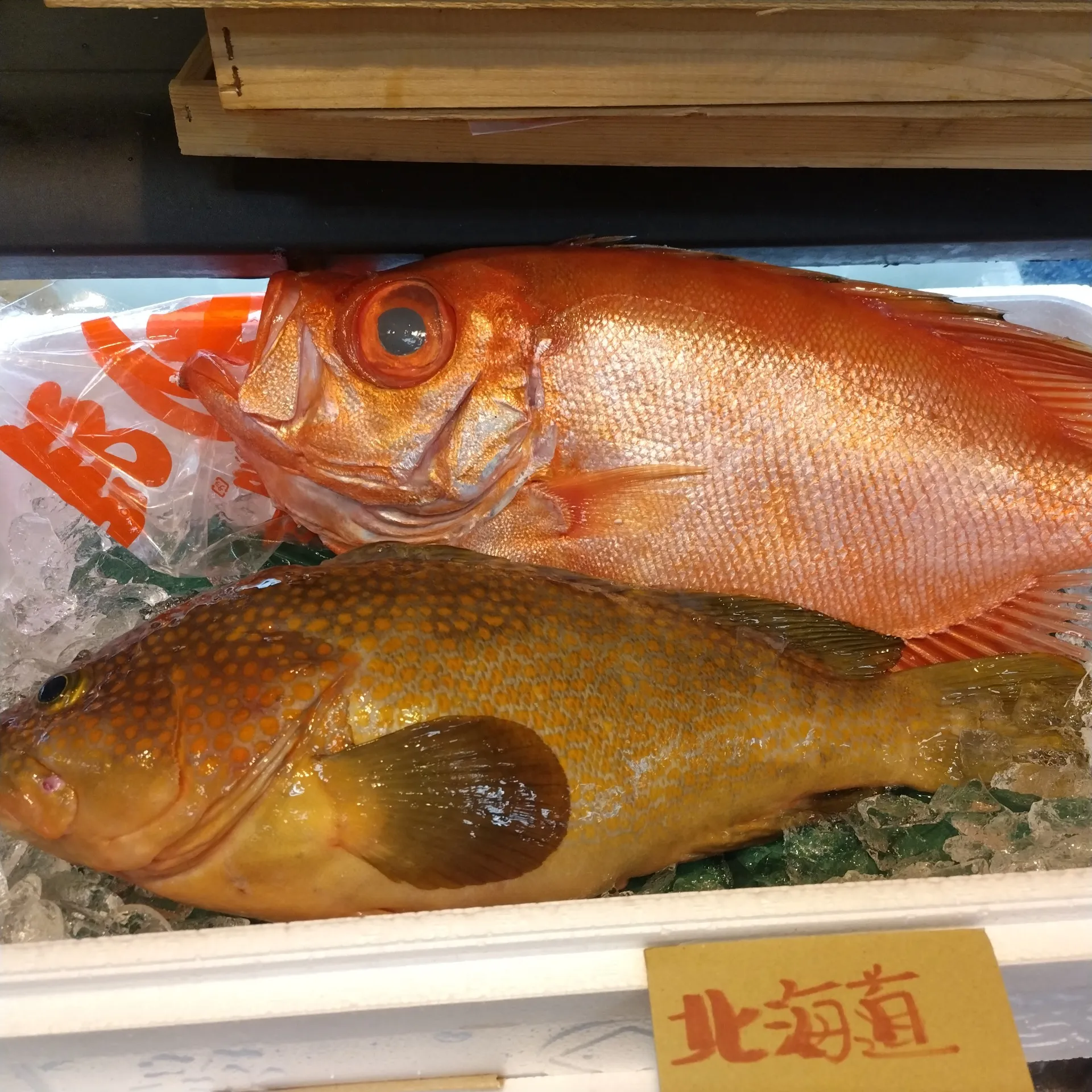 サカナヤサカモト花園店