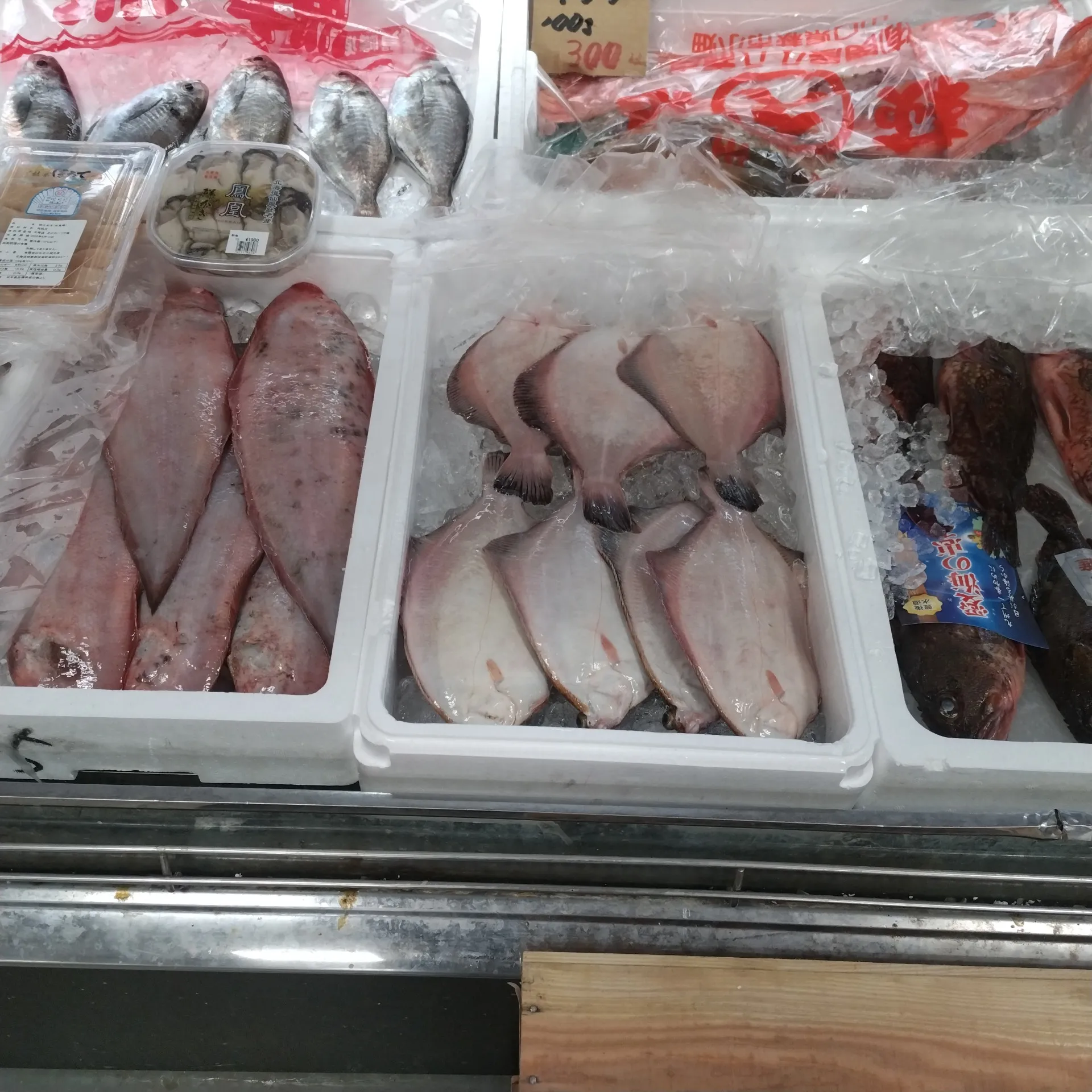 サカナヤサカモト花園店