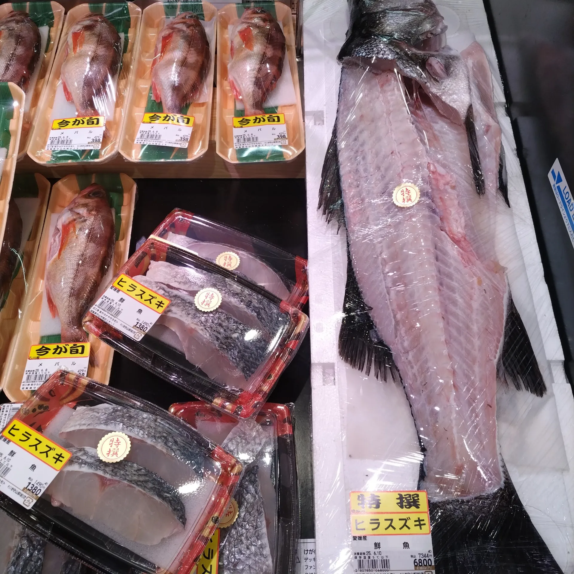 サカナヤサカモト守山店