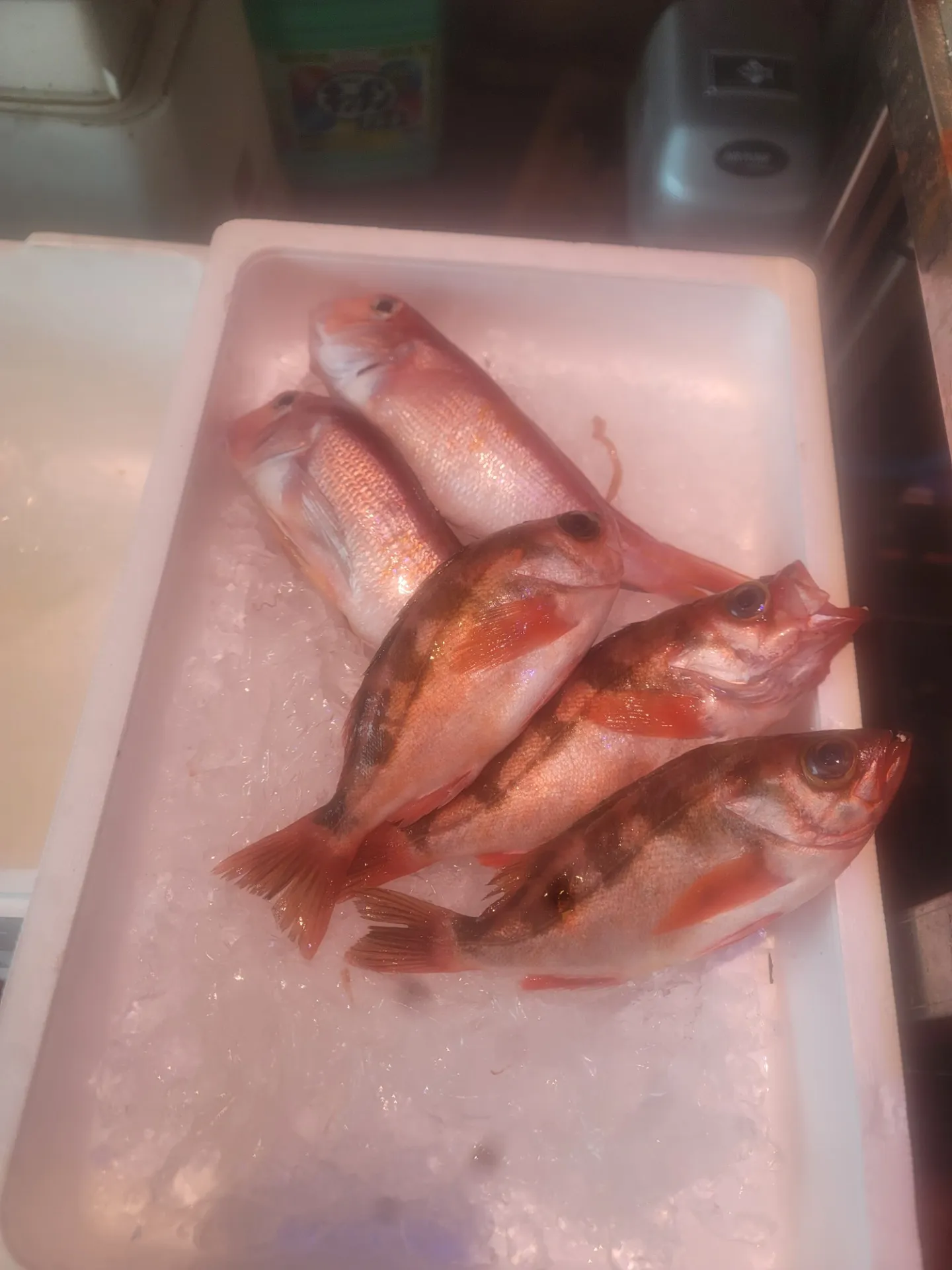 一心太助鮮魚コーナー