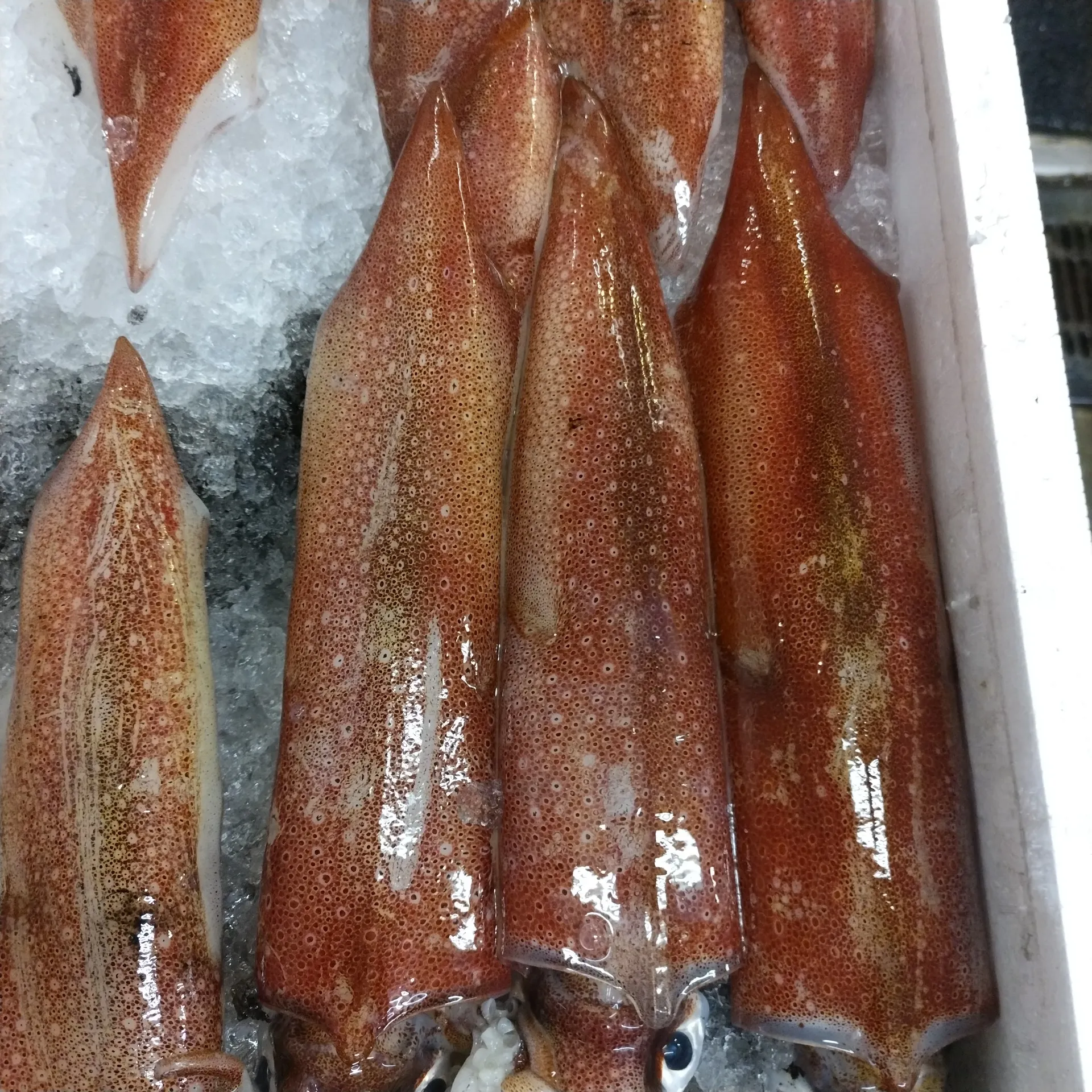 サカナヤサカモト花園店