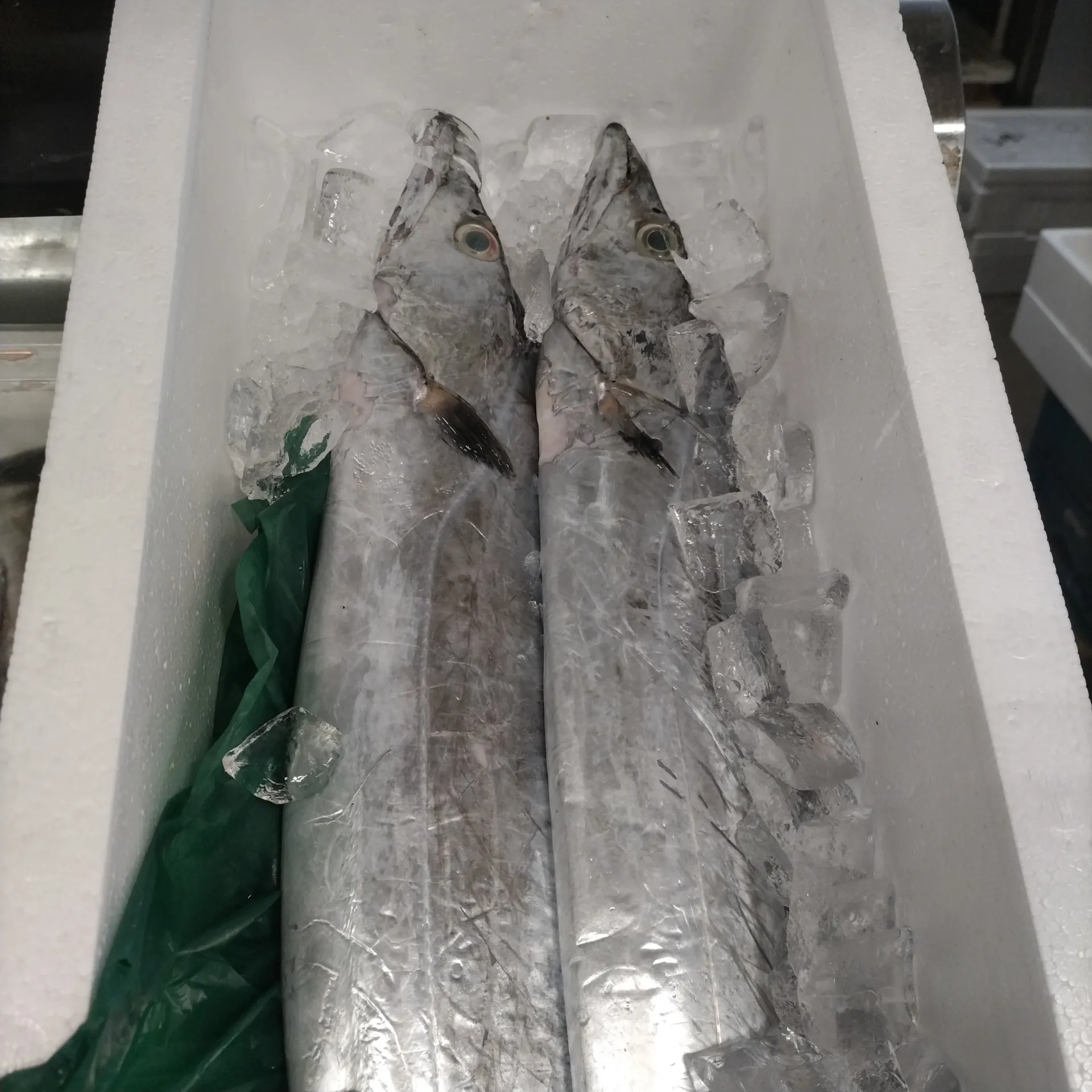 サカナヤサカモト花園店