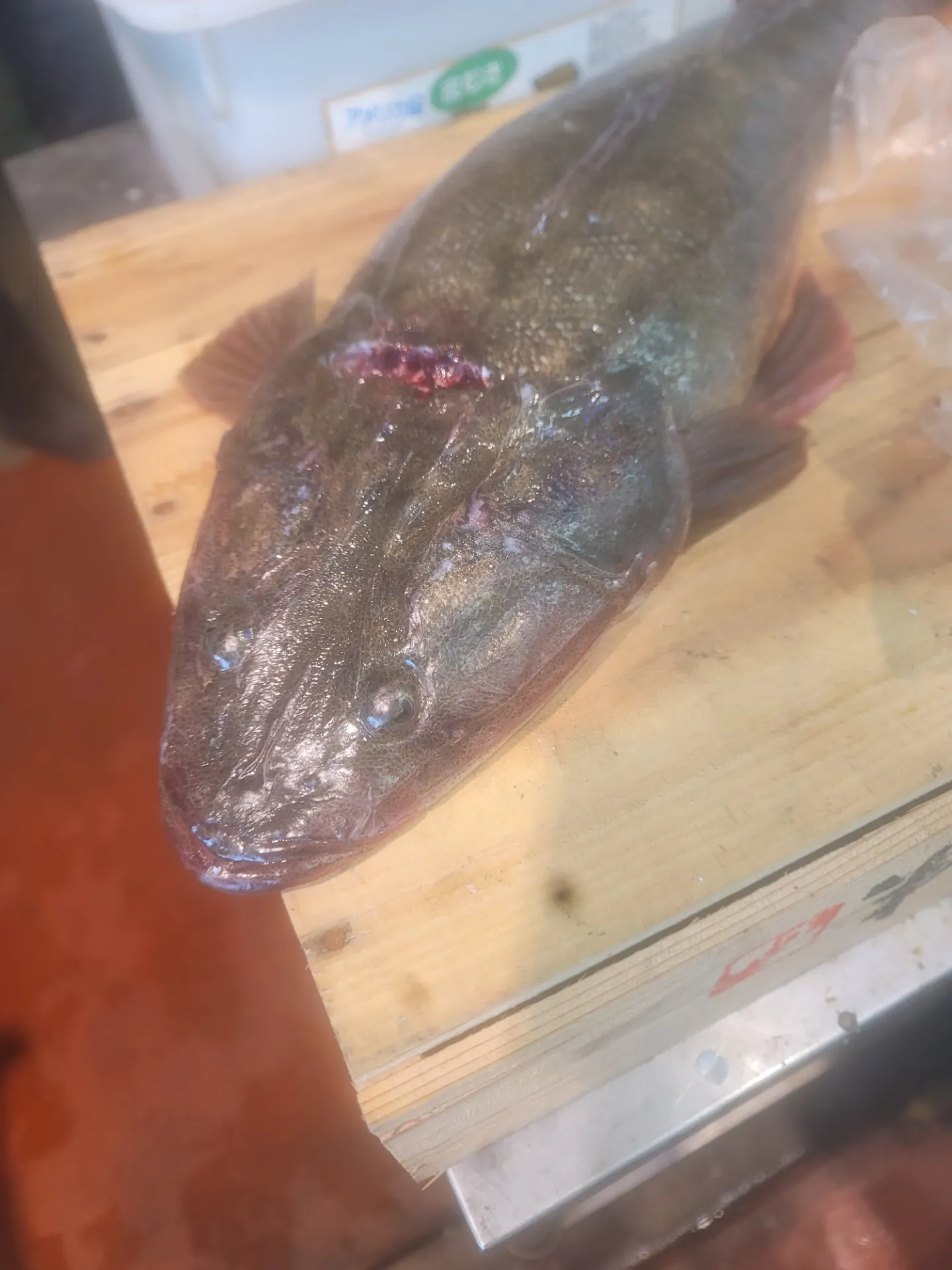 一心太助鮮魚コーナー