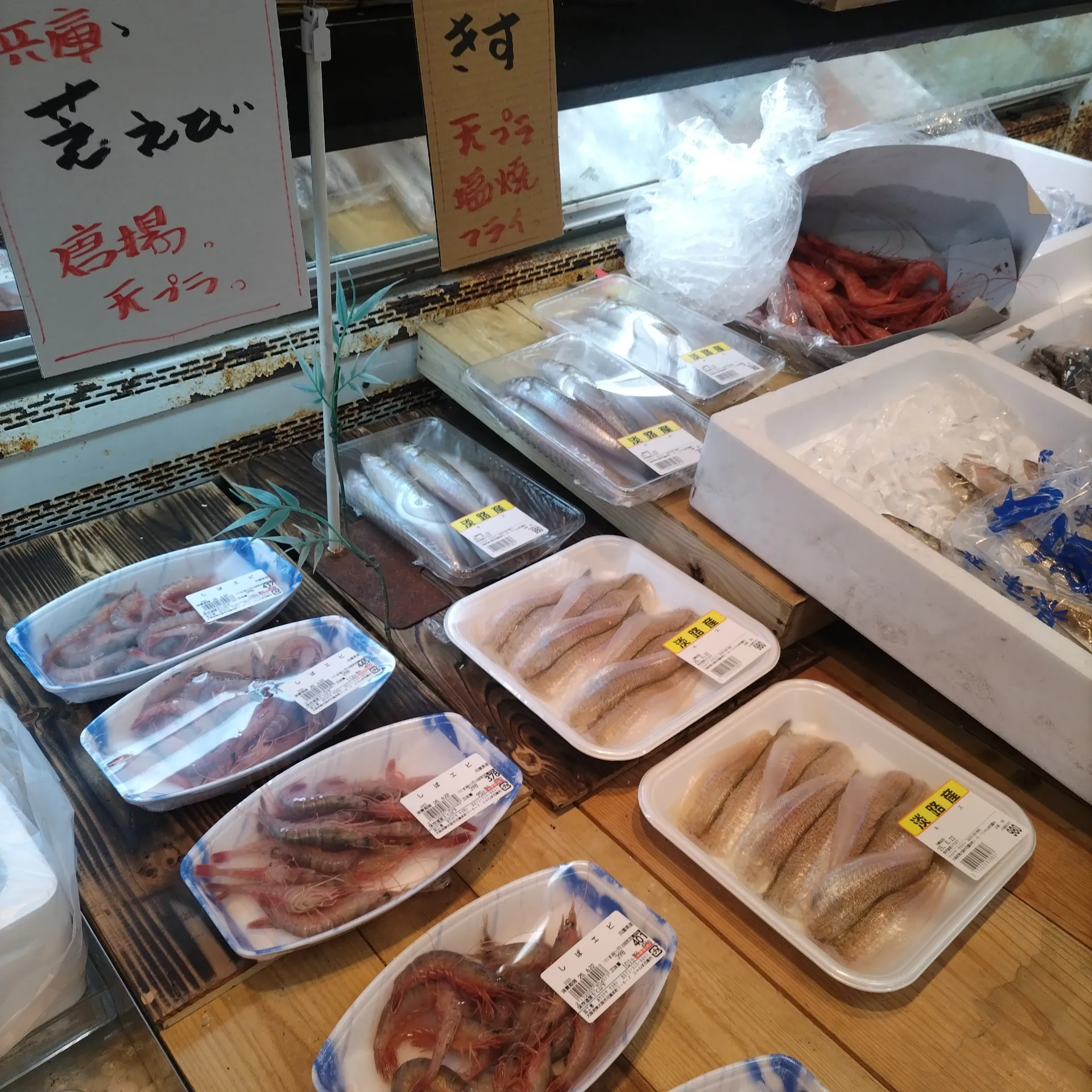 サカナヤサカモト花園店