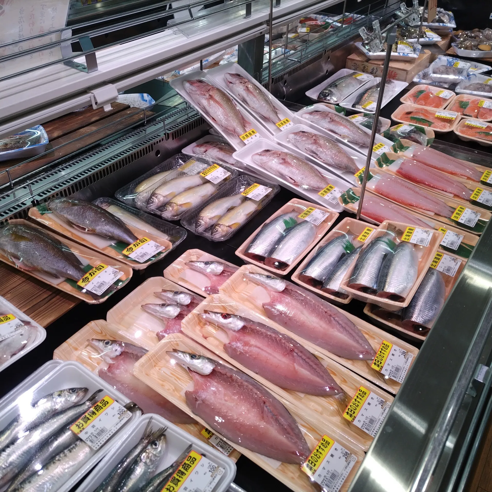 サカナヤサカモト守山店