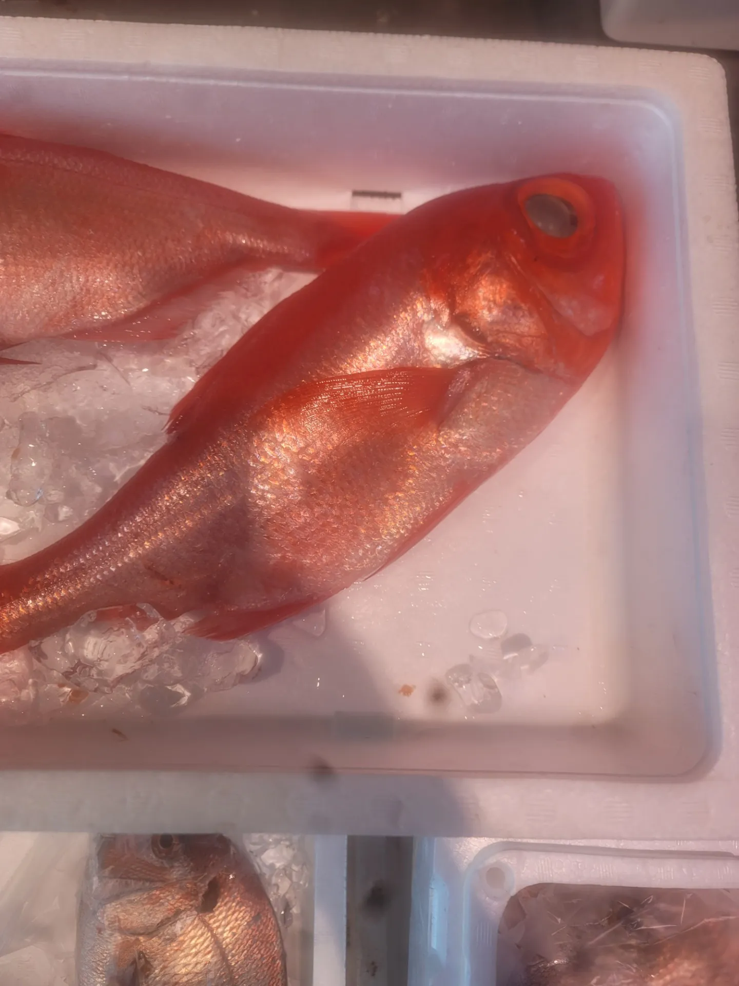 一心太助鮮魚コーナー