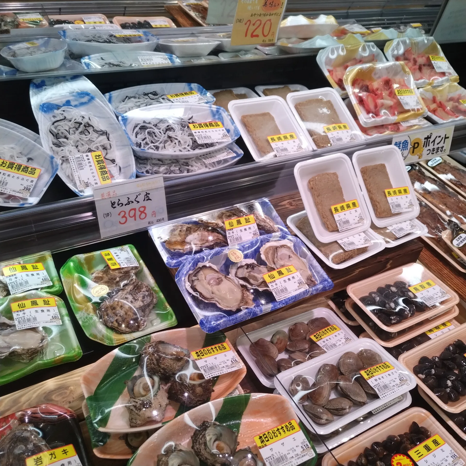 サカナヤサカモト守山店