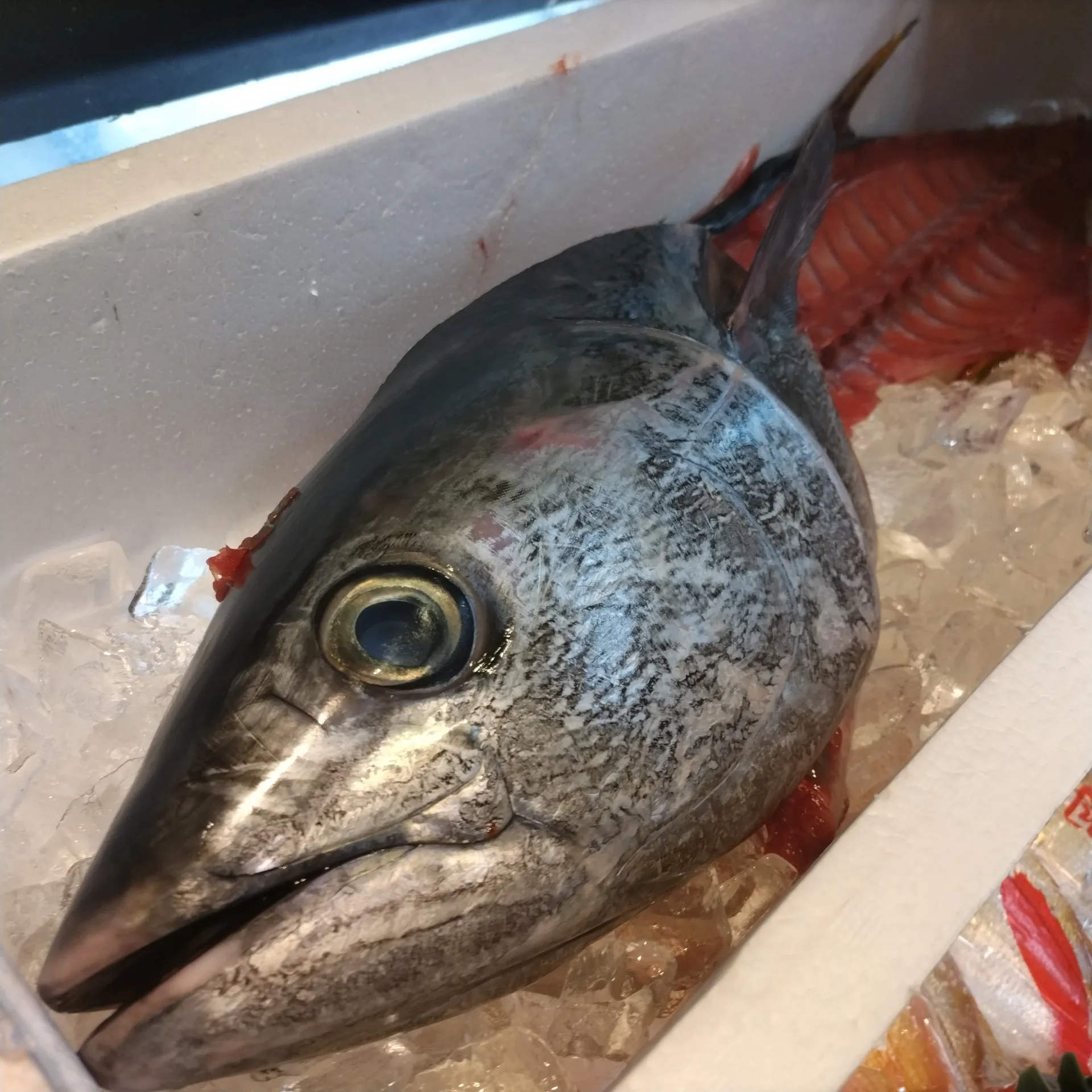 サカナヤサカモト花園店