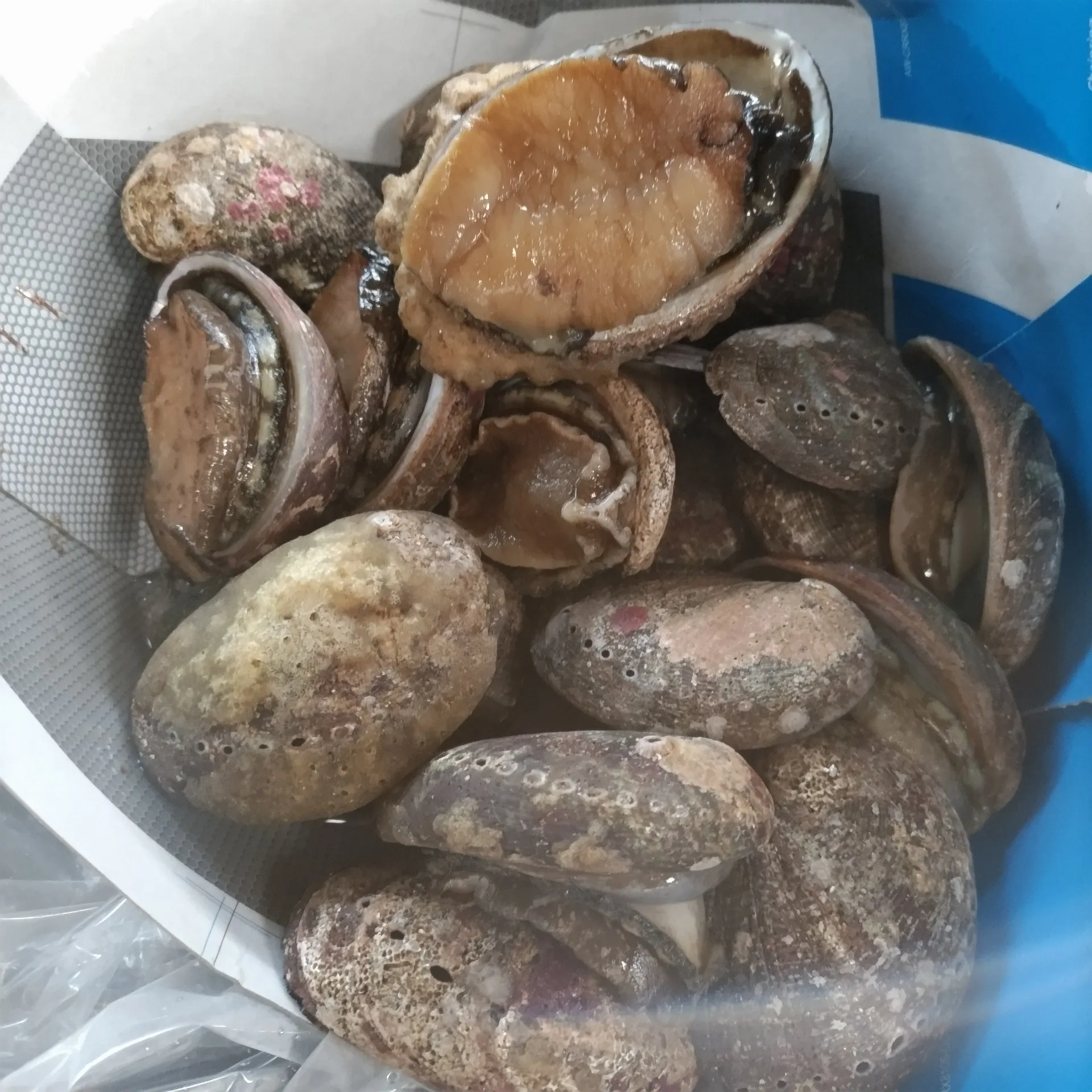 サカナヤサカモト花園店