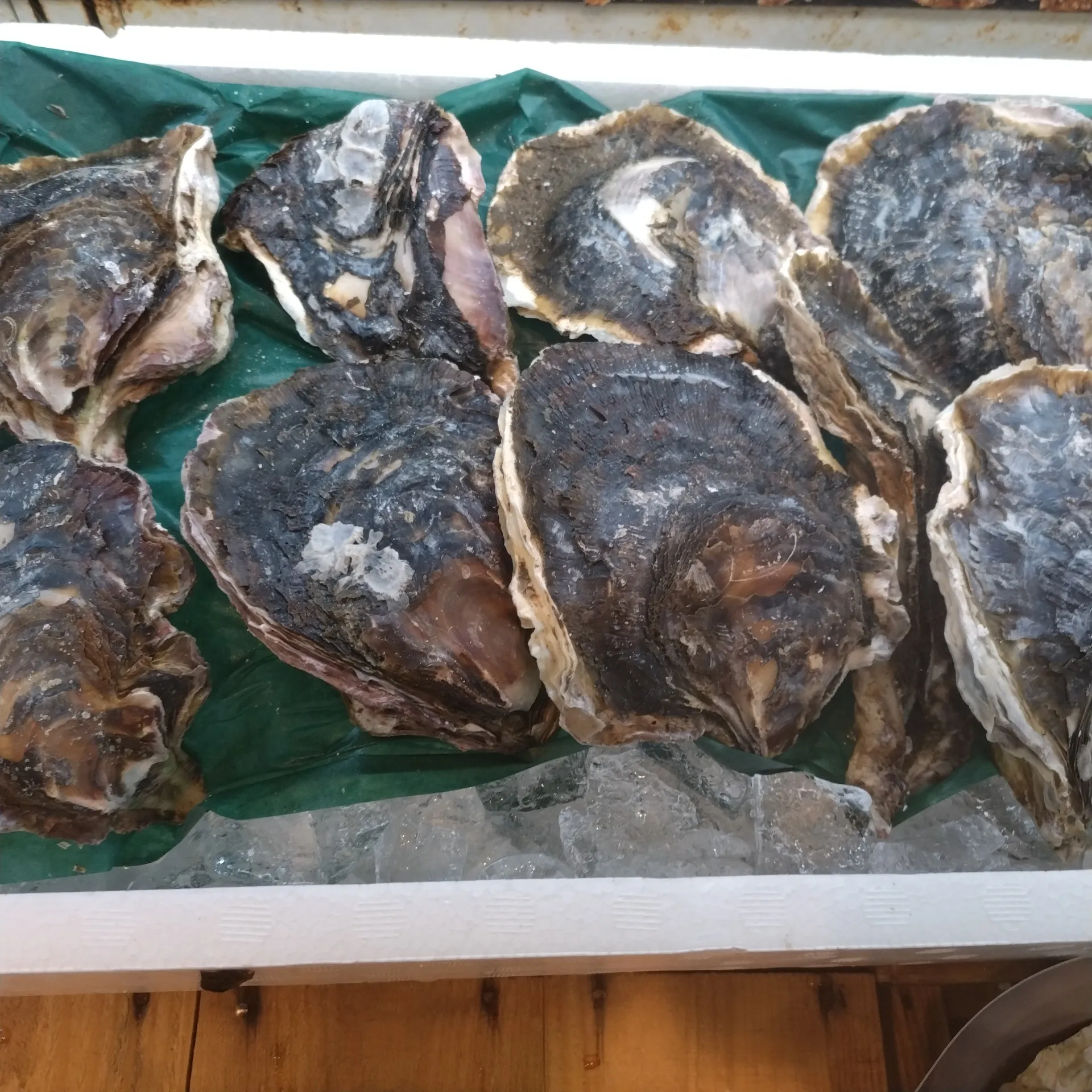 サカナヤサカモト花園店