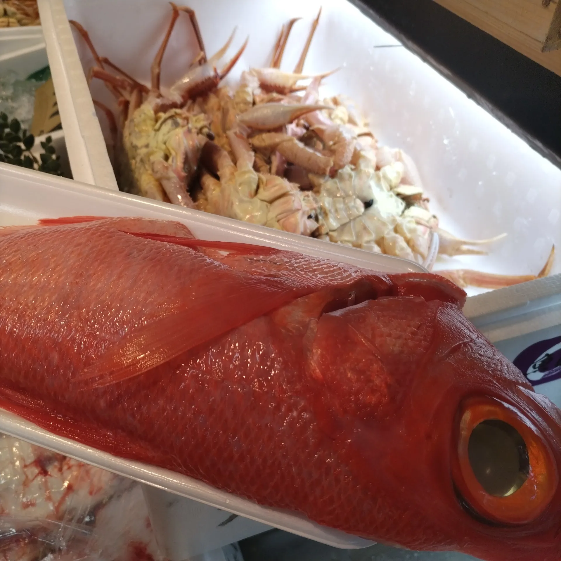 サカナヤサカモト花園店