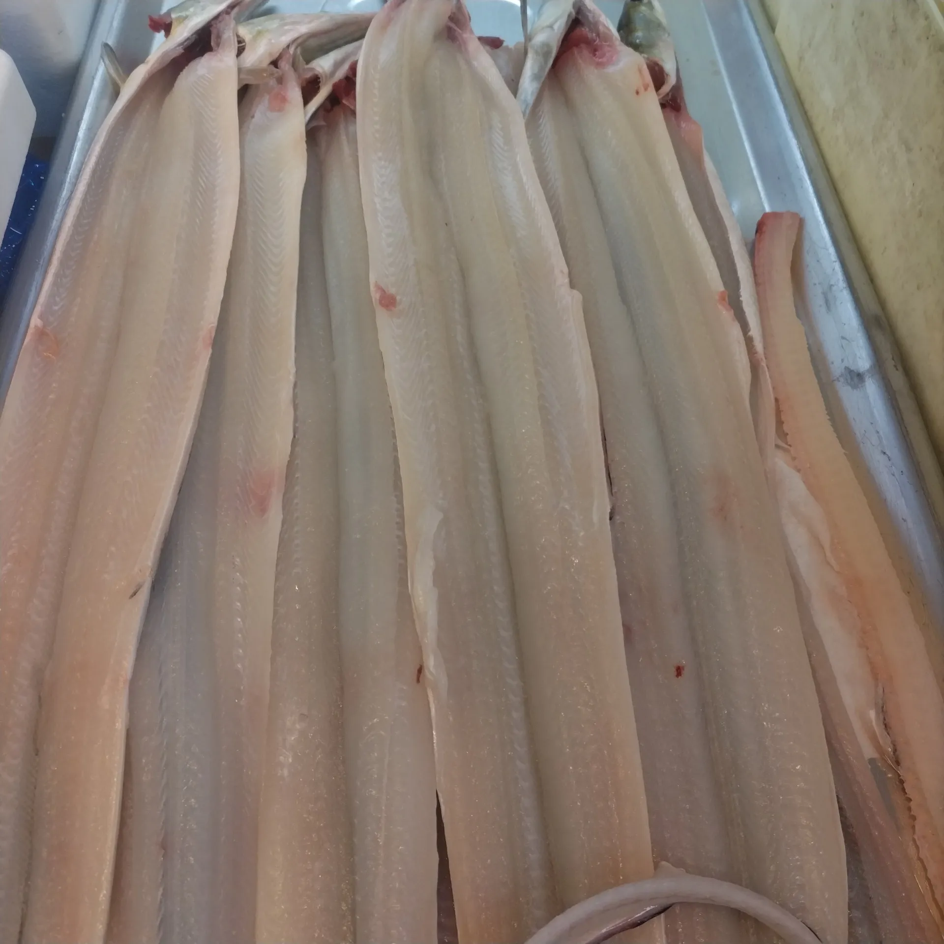 サカナヤサカモト花園店