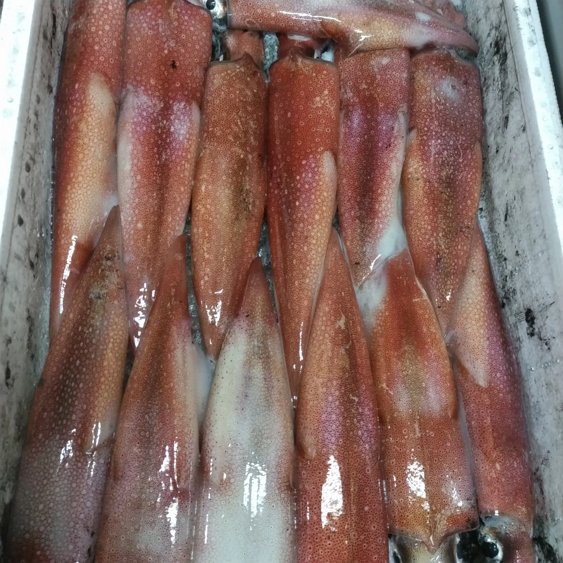 サカナヤサカモト花園店