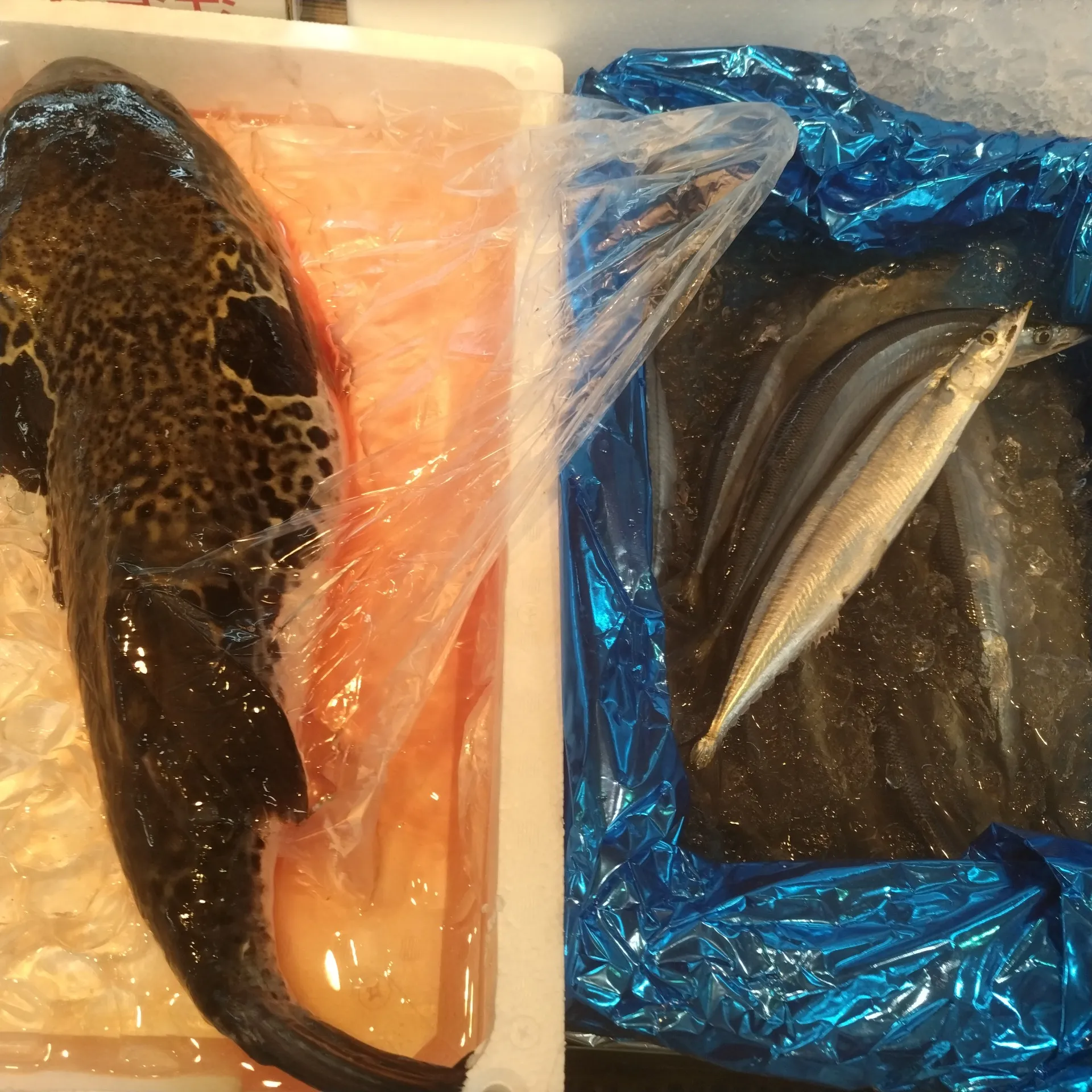 サカナヤサカモト花園店