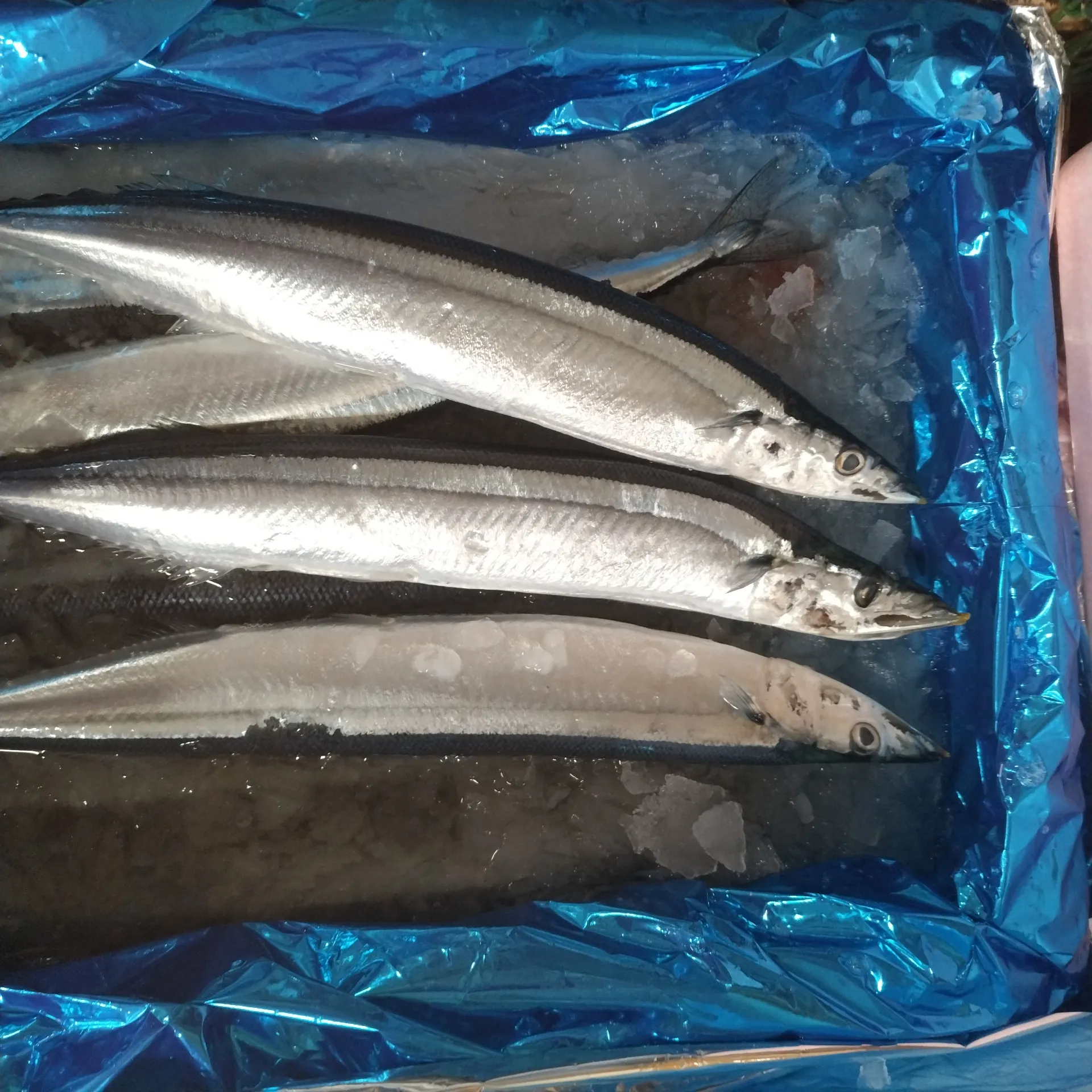 サカナヤサカモト花園店