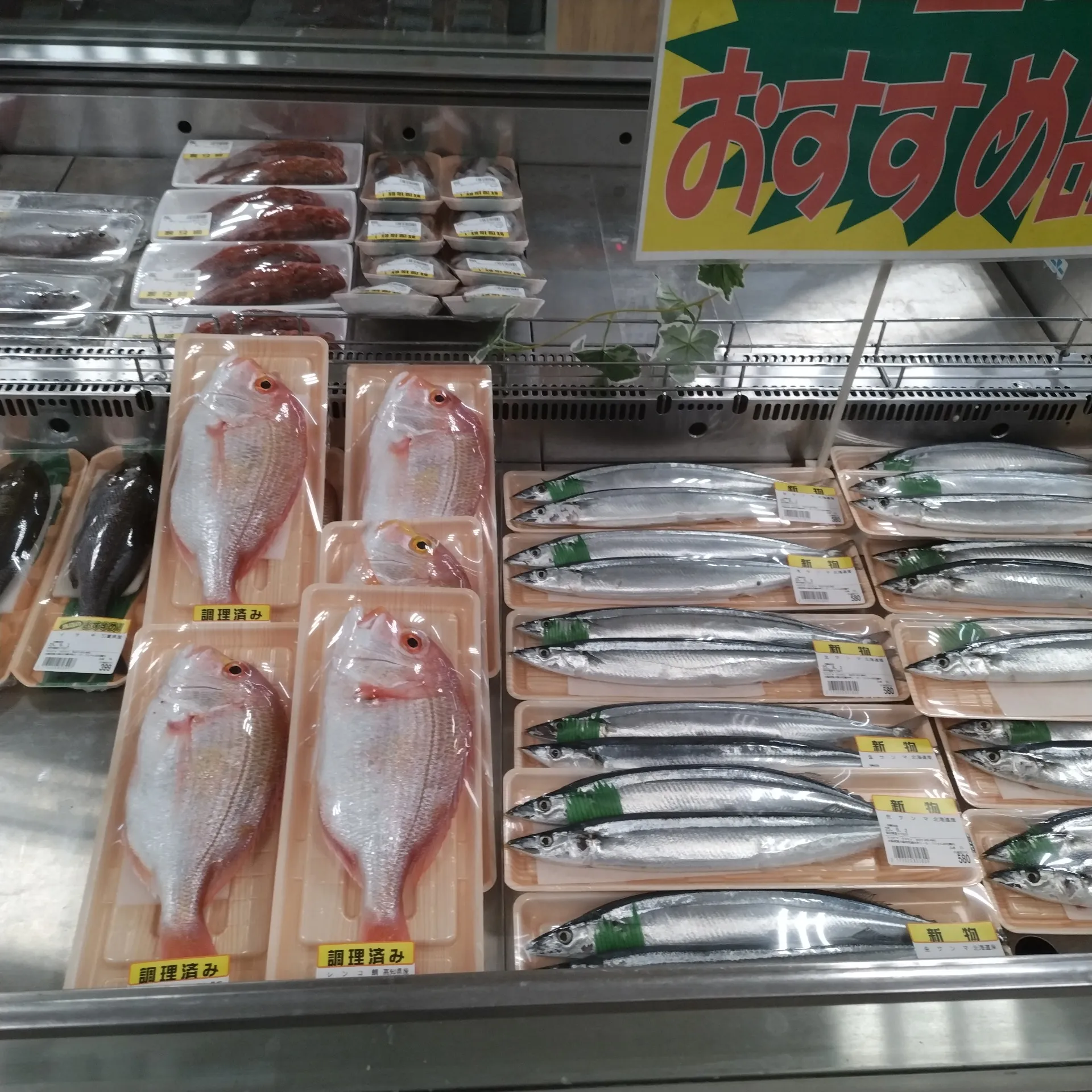 サカナヤサカモト花園店