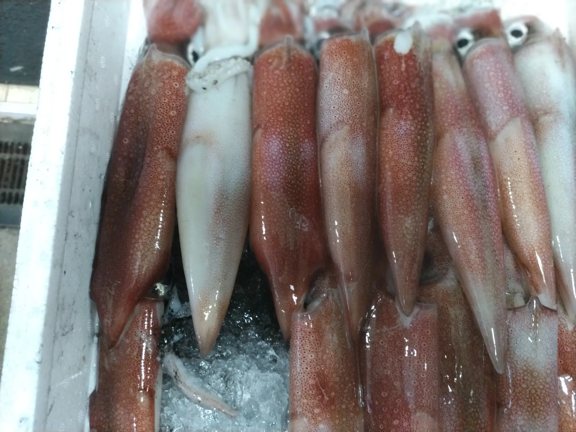 サカナヤサカモト花園店