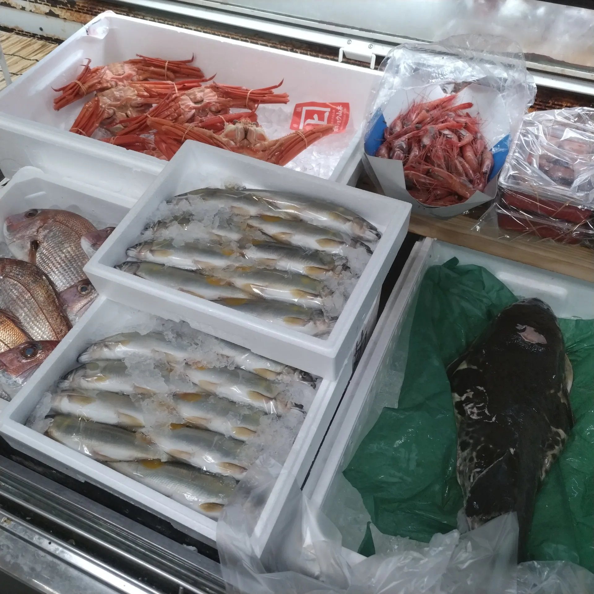 サカナヤサカモト花園店