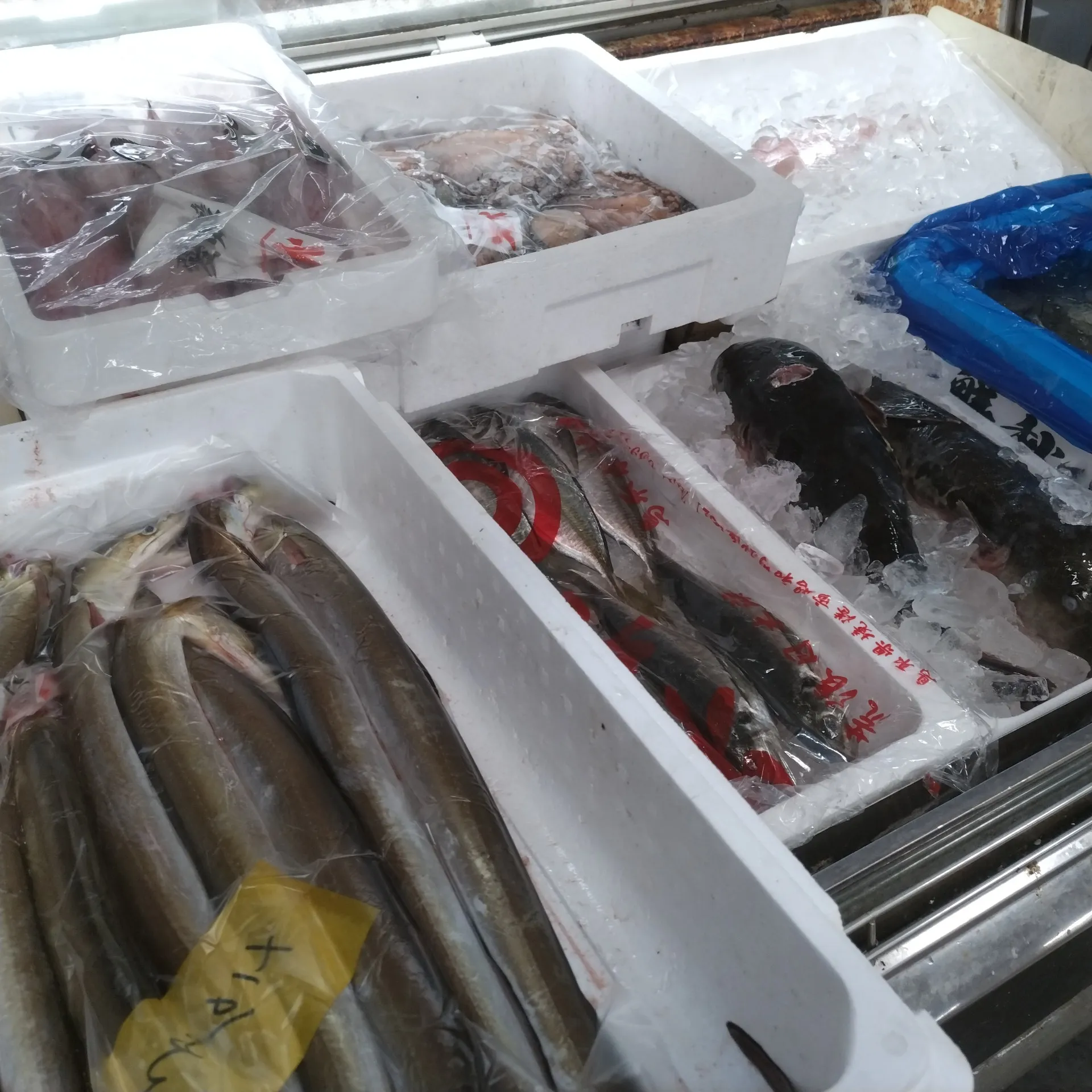 サカナヤサカモト花園店