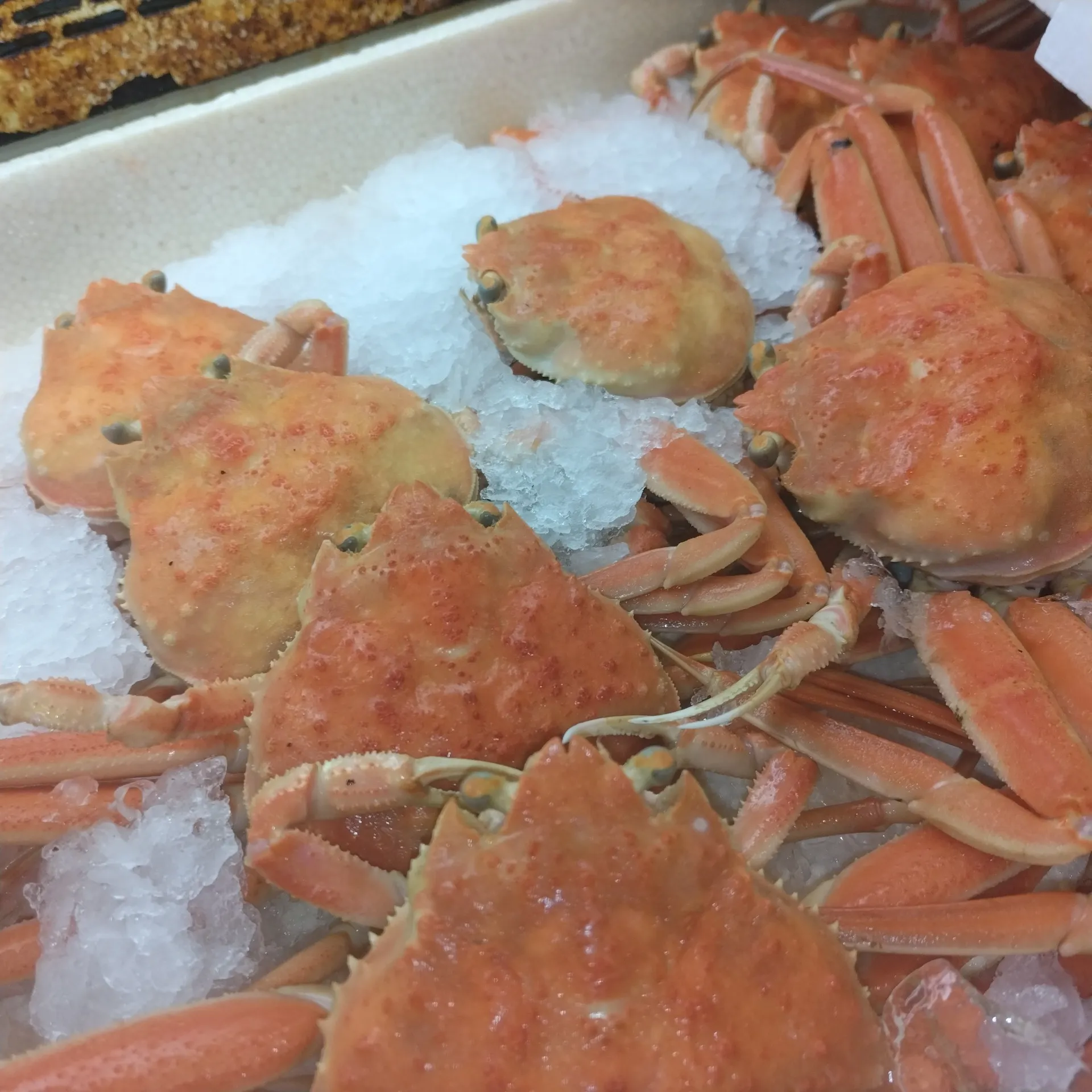 サカナヤサカモト花園店