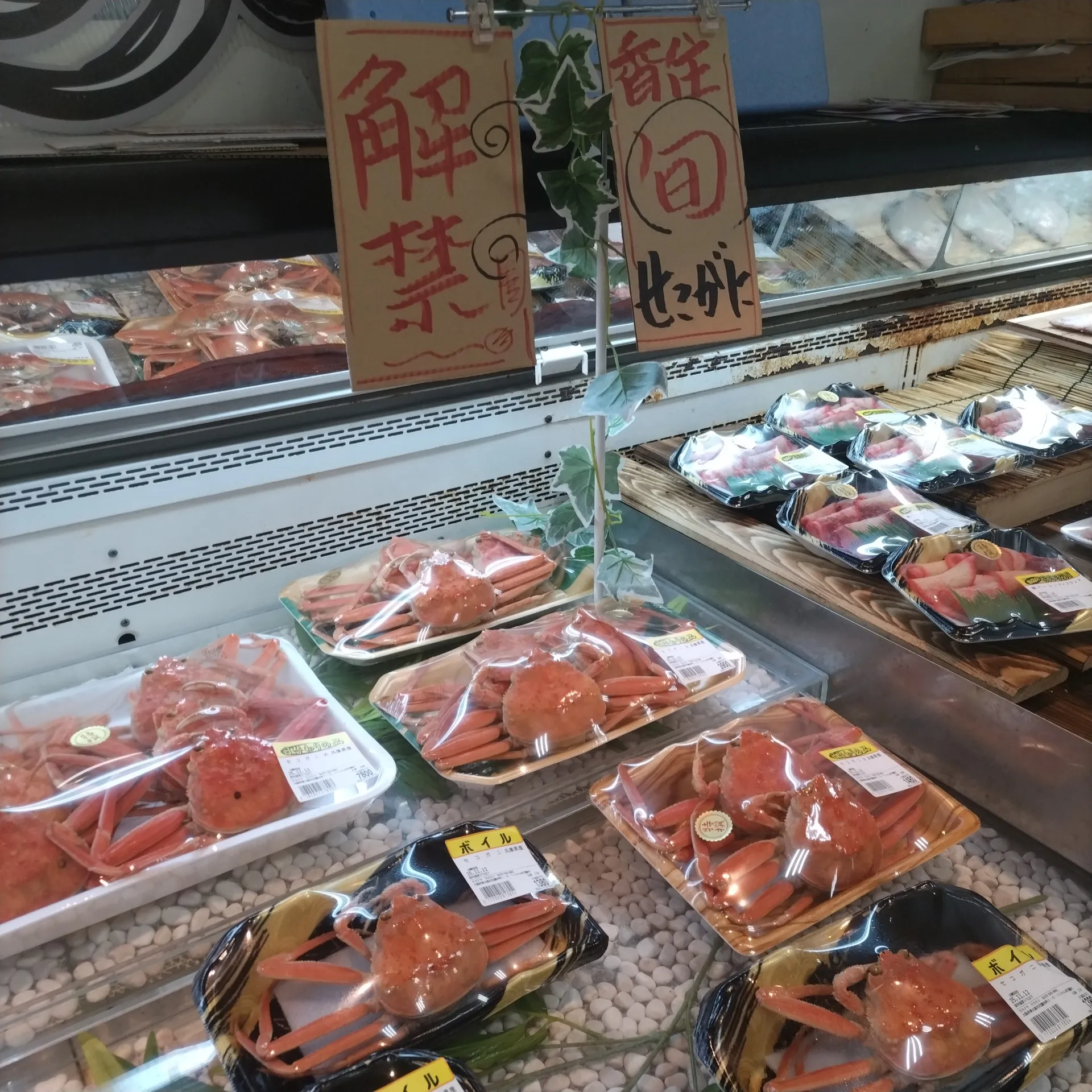 サカナヤサカモト花園店