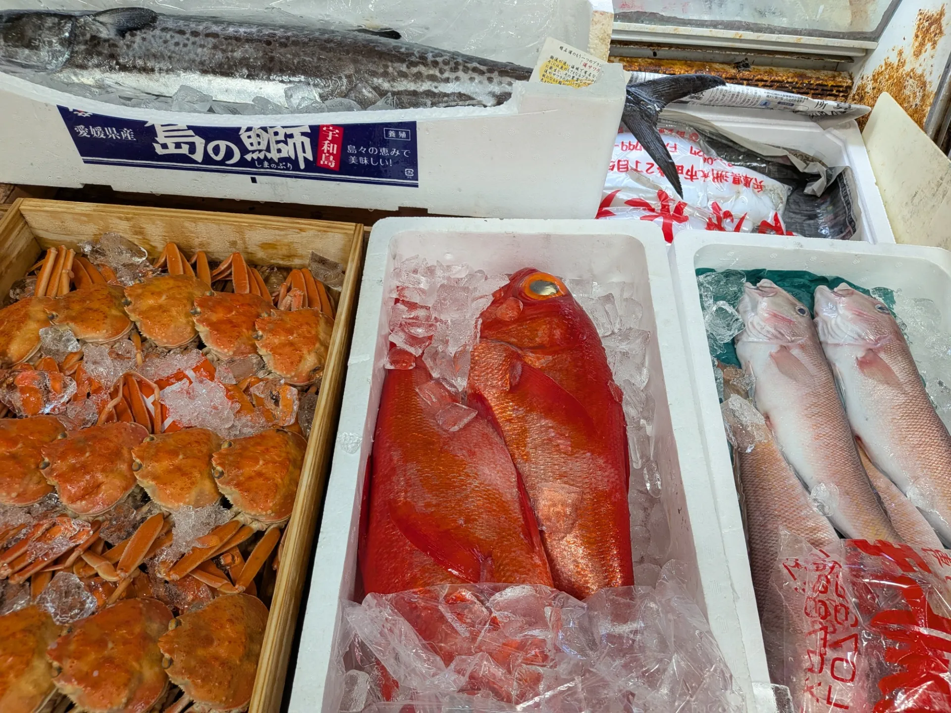 サカナヤサカモト花園店