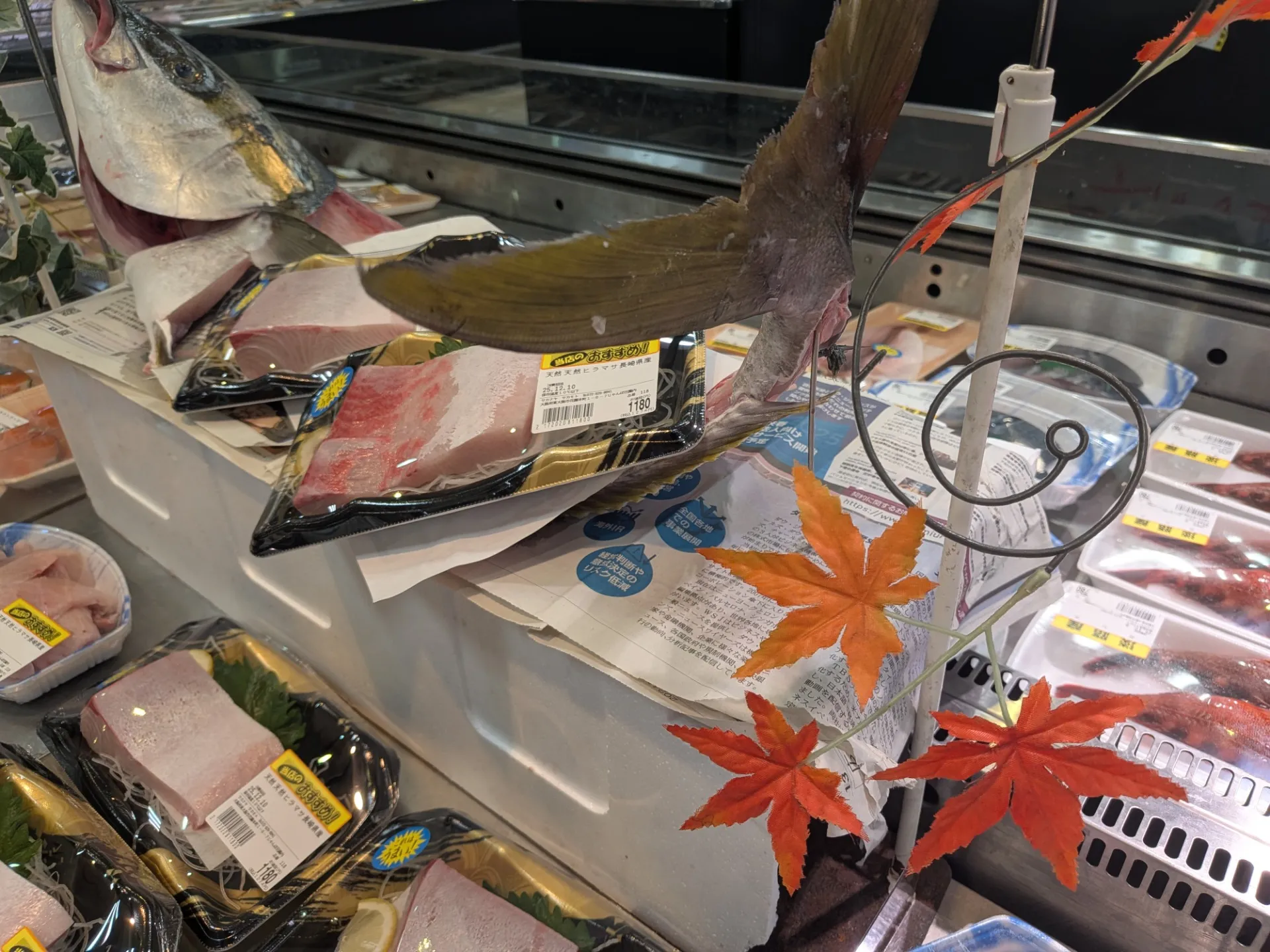 サカナヤサカモト花園店