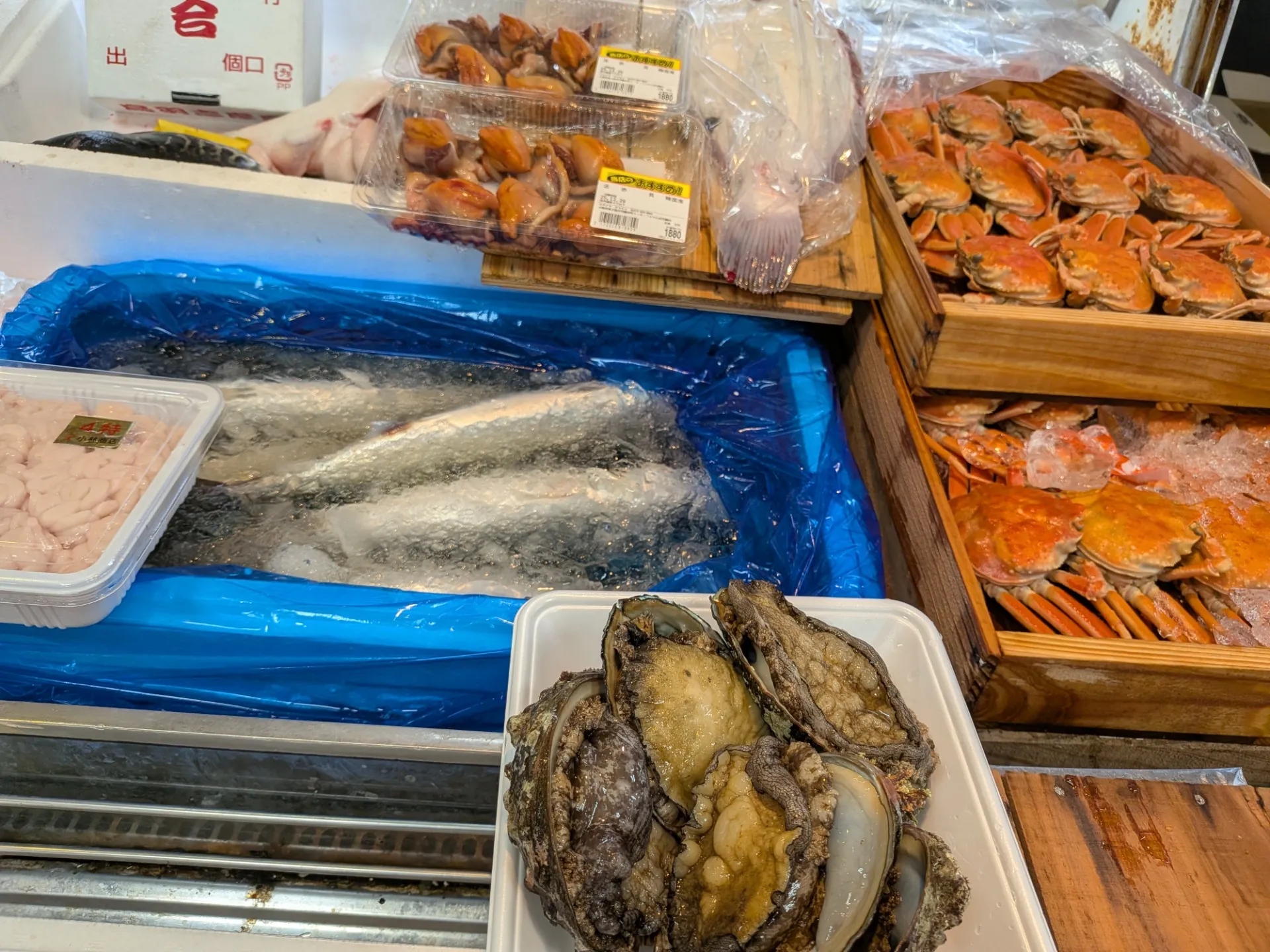 サカナヤサカモト花園店