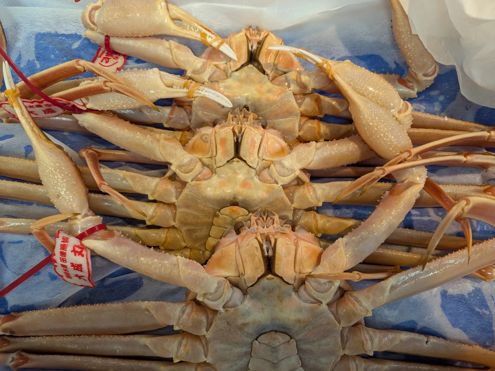 サカナヤサカモト花園店