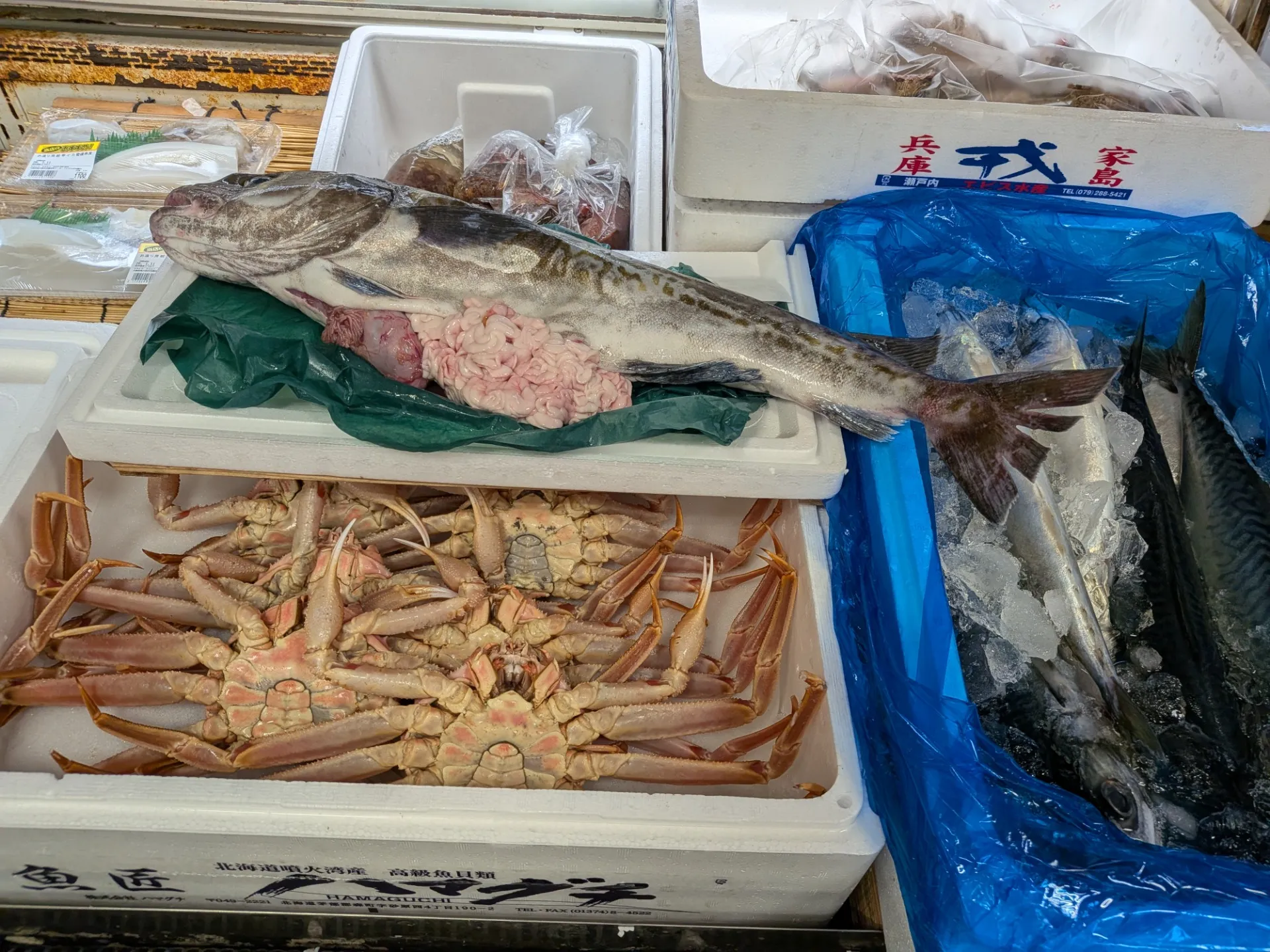 サカナヤサカモト花園店