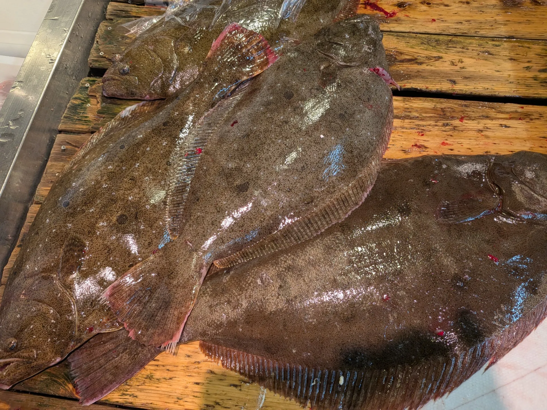 サカナヤサカモト花園店