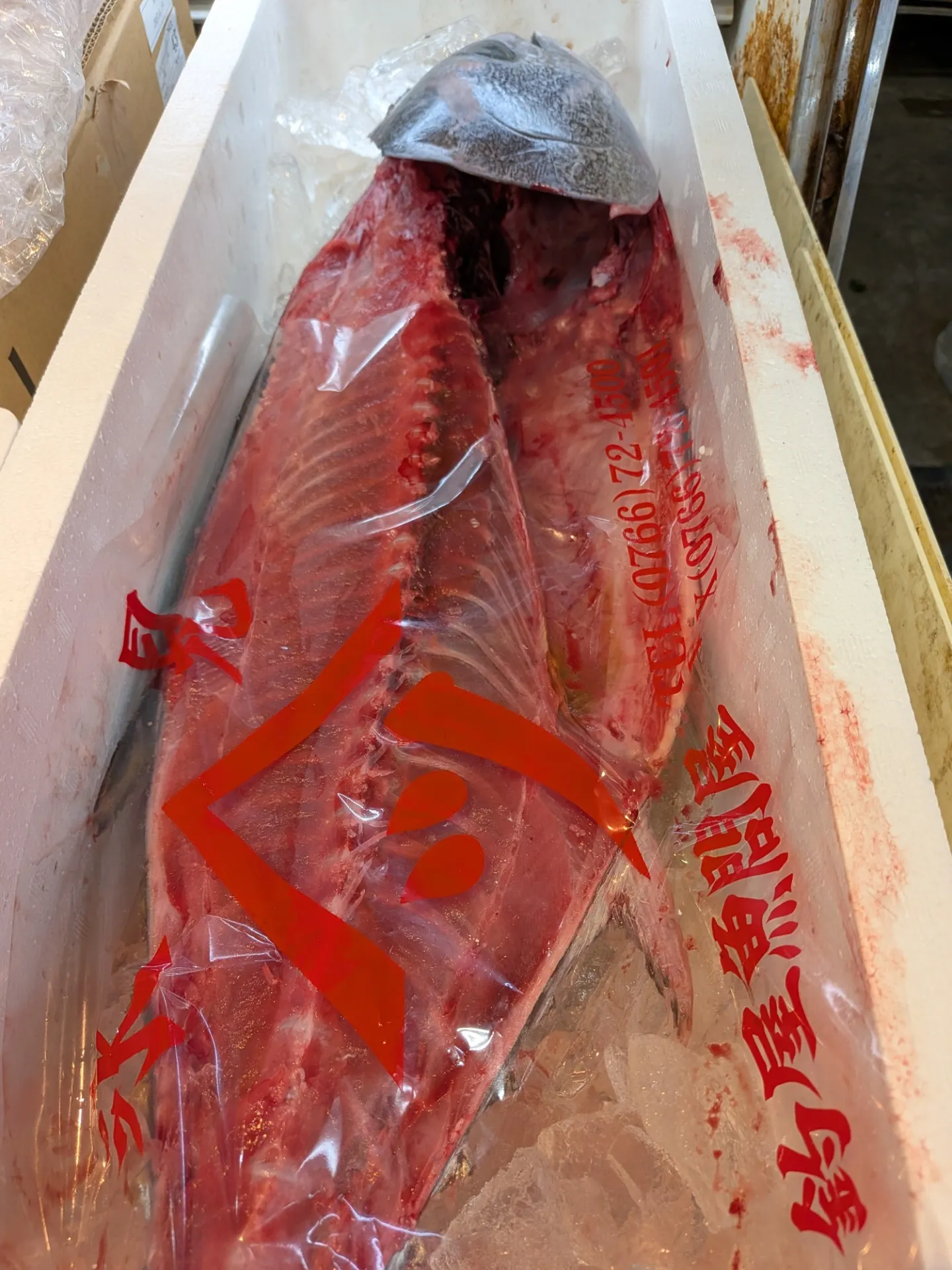 サカナヤサカモト花園店