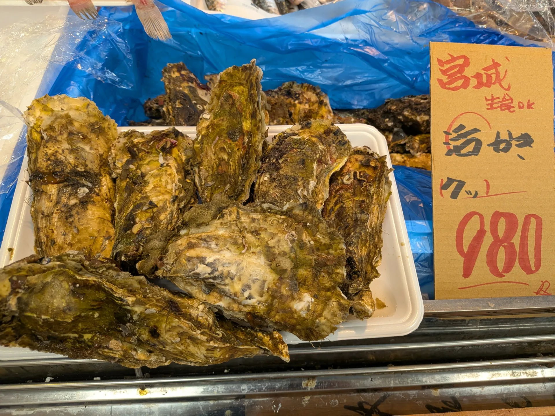 サカナヤサカモト花園店