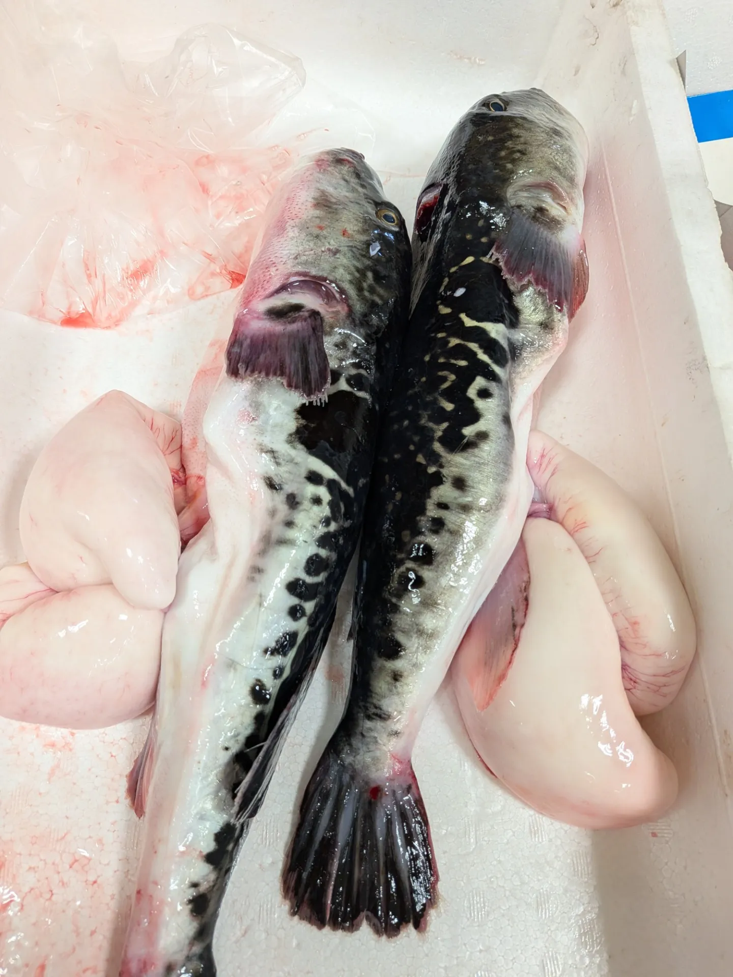 サカナヤサカモト花園店