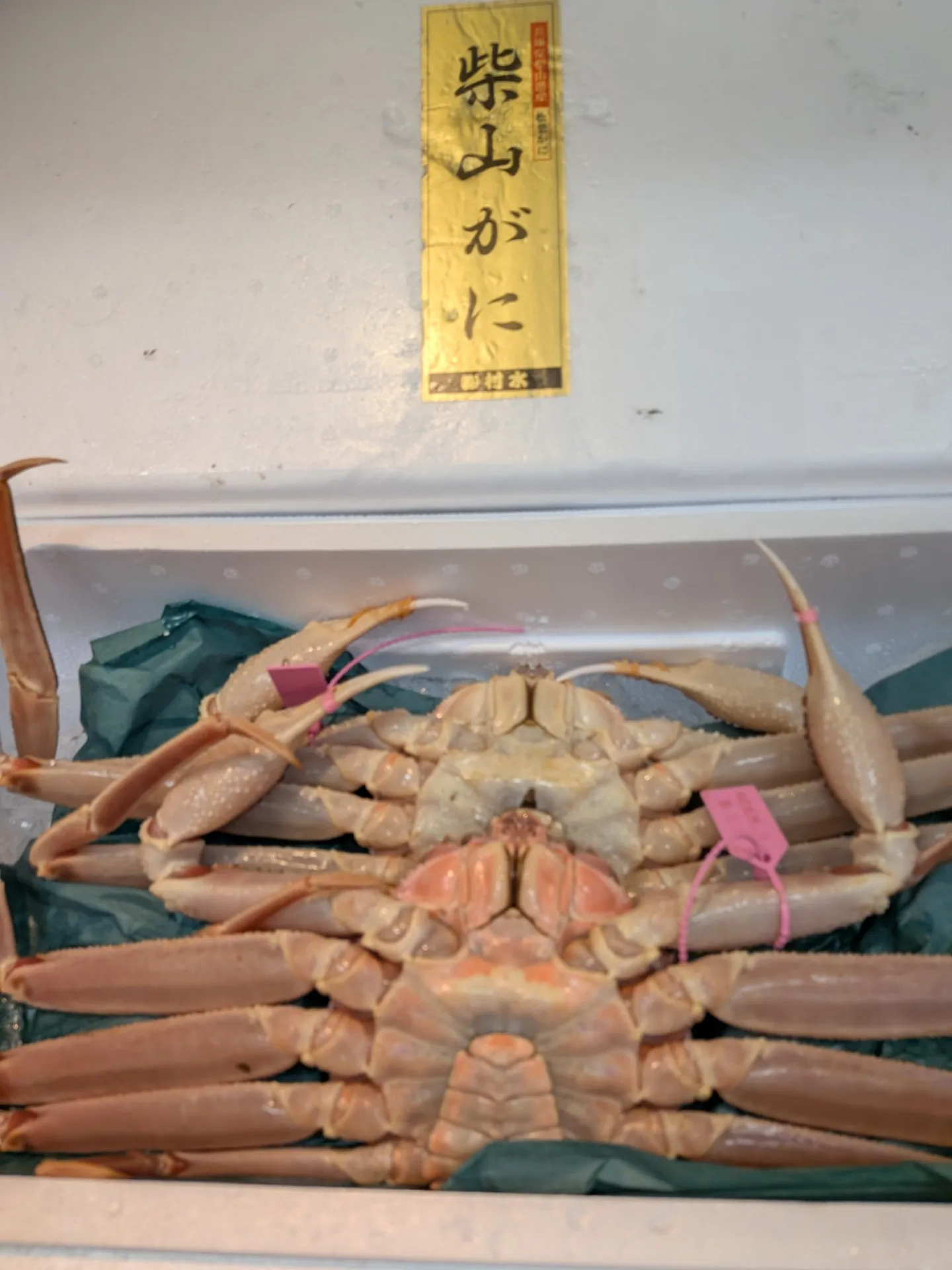 サカナヤサカモト花園店